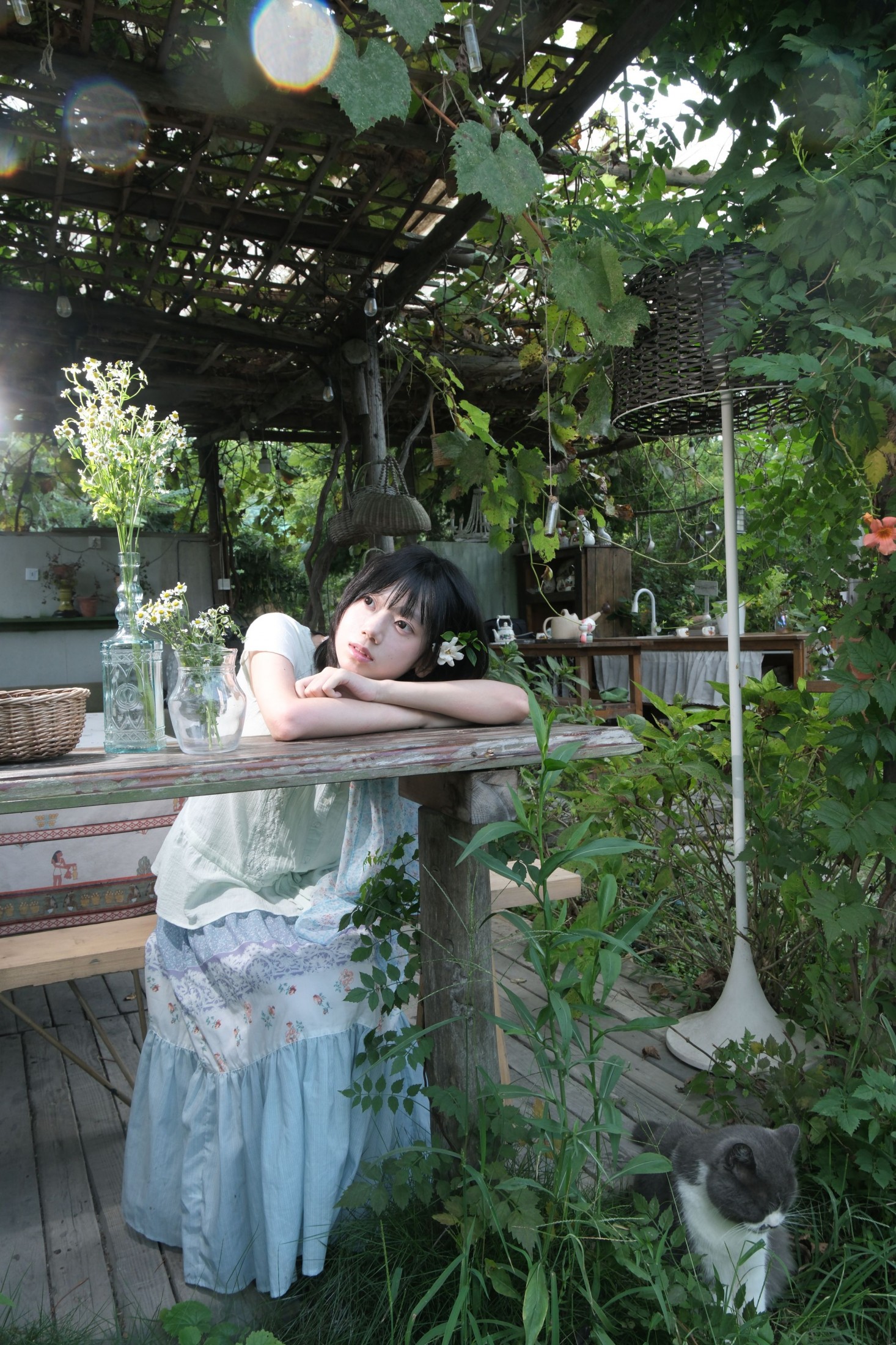 《夏天周而复始》[12P] 插图3