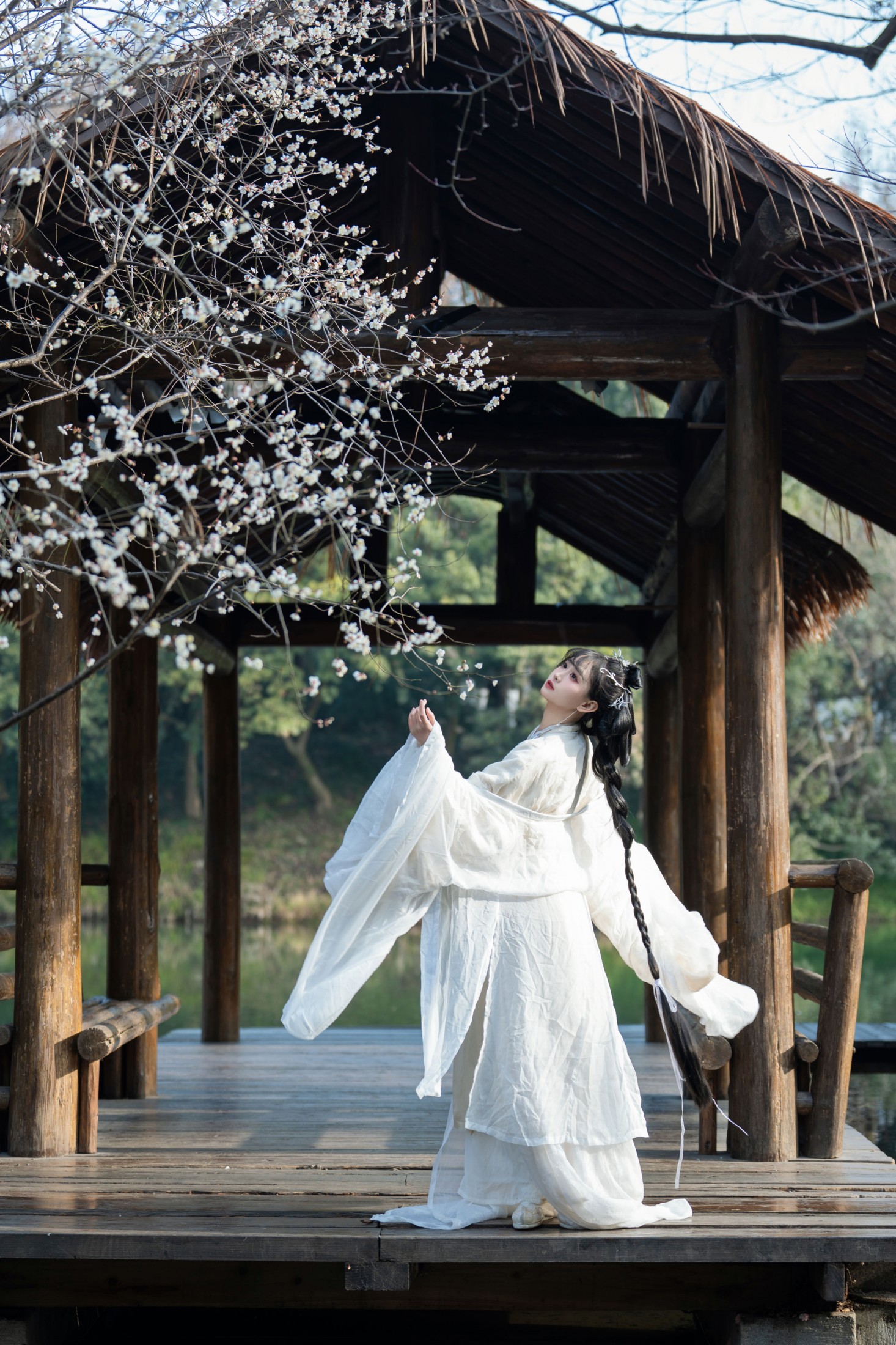 湫一只岁岁 - 《梅花独自开》[49P] 插图2