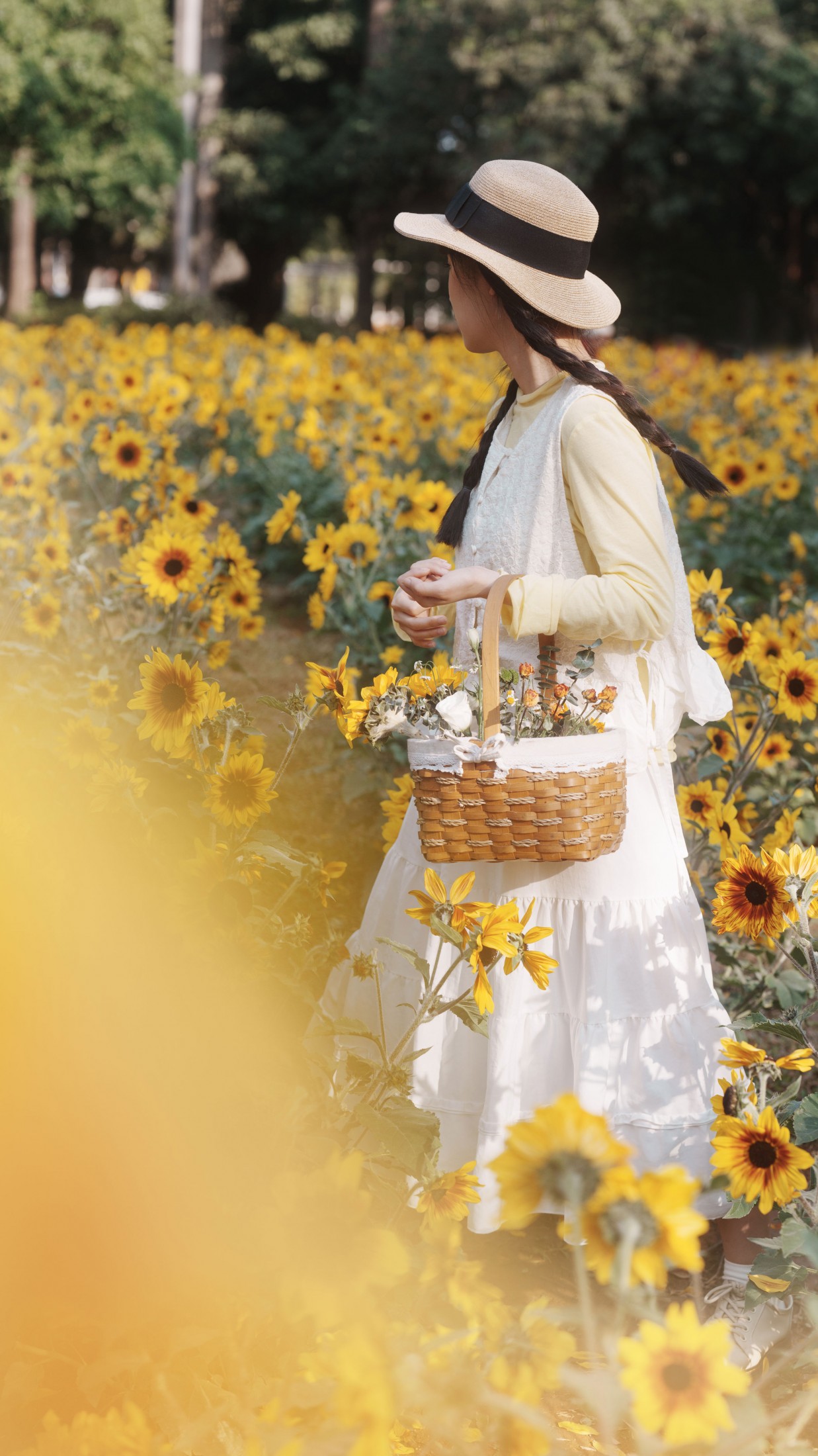 南伊 - 《向阳而生》[48P] 插图3