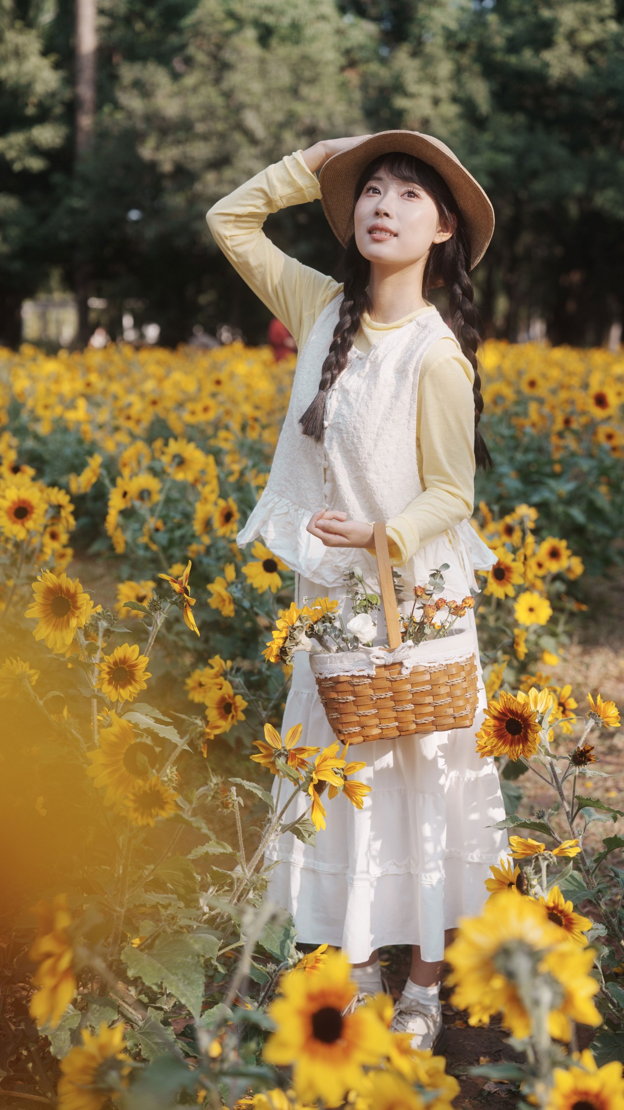 南伊 - 《向阳而生》[48P] 插图2