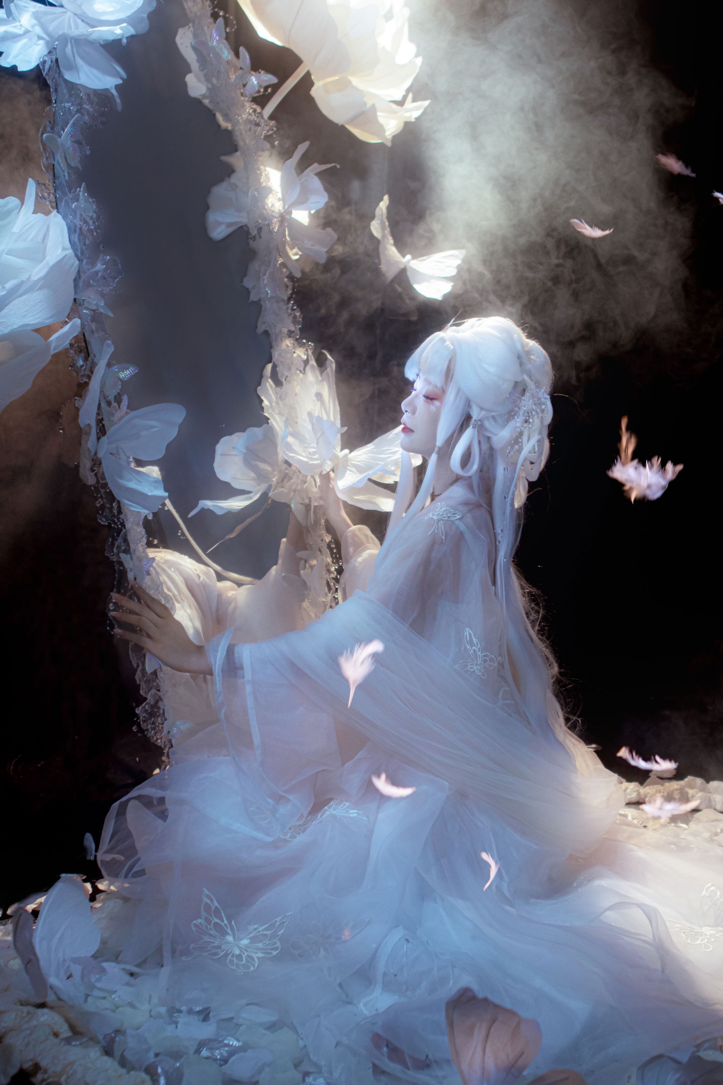 蔸小黄鸡 - 《梦蝶》[9P]-66COS