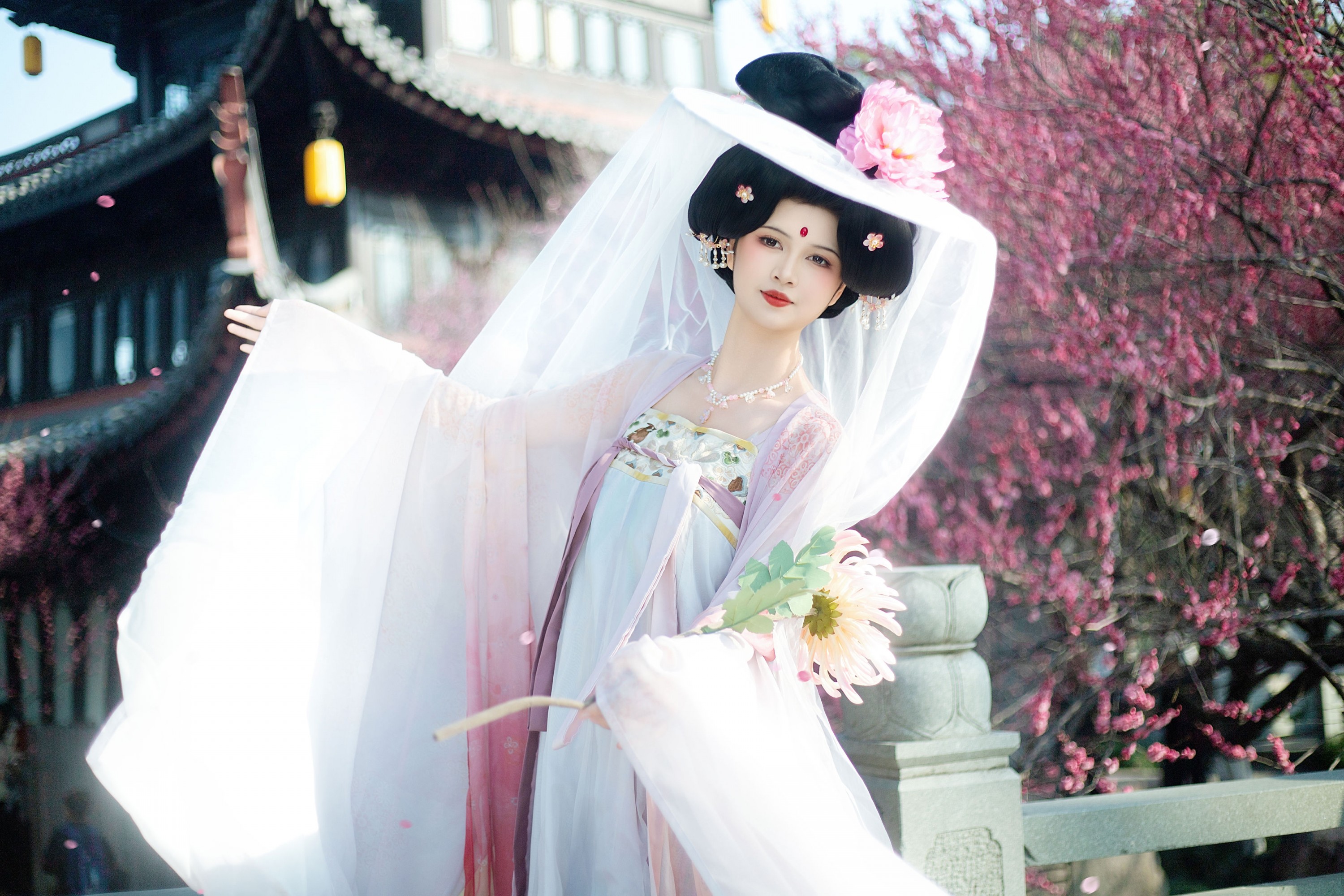 微微不微辣 - 《唐贵妃赏梅》[12P]-66COS