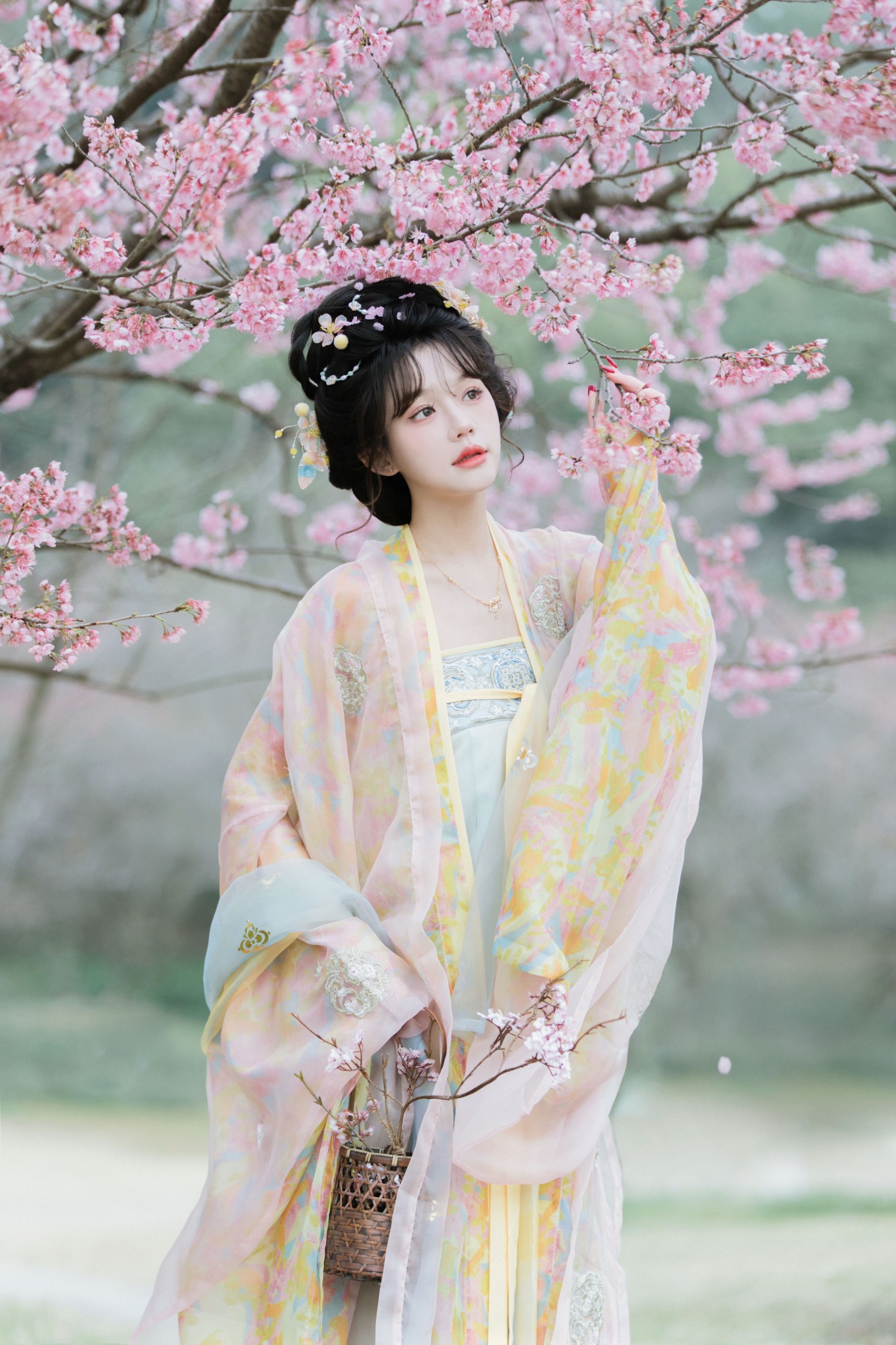 《早樱》[28P] 插图2