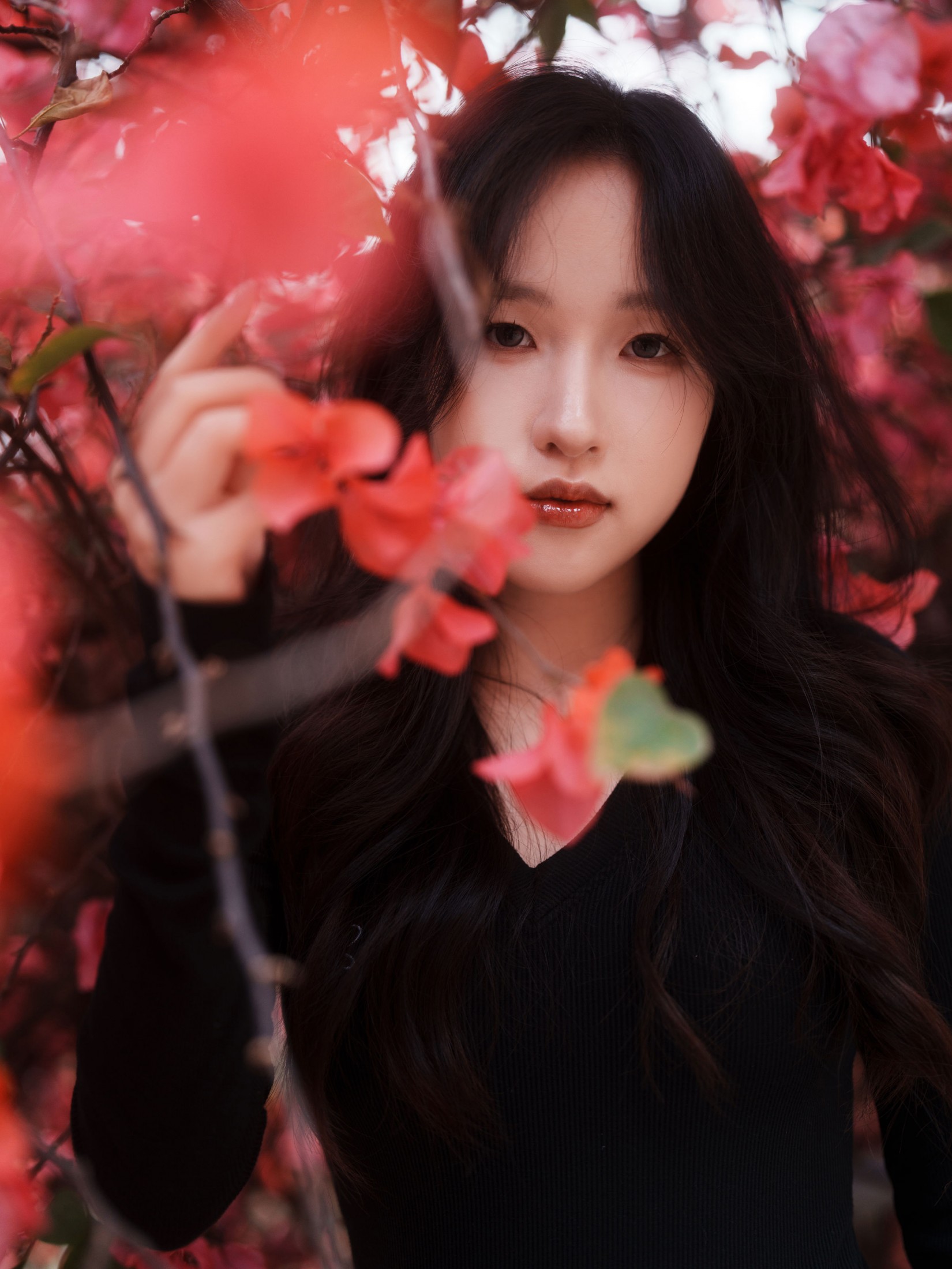 《三角梅美脸》[53P] 插图3