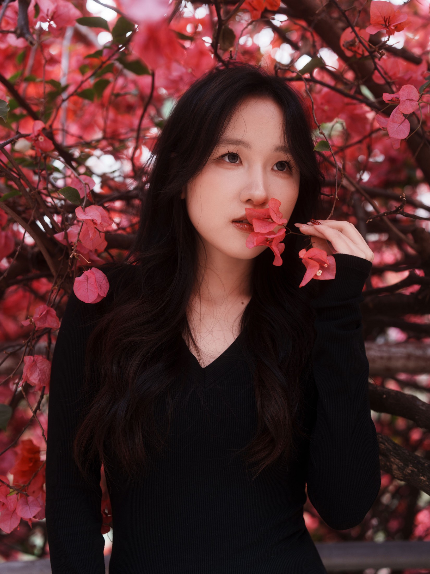 《三角梅美脸》[53P]-66COS