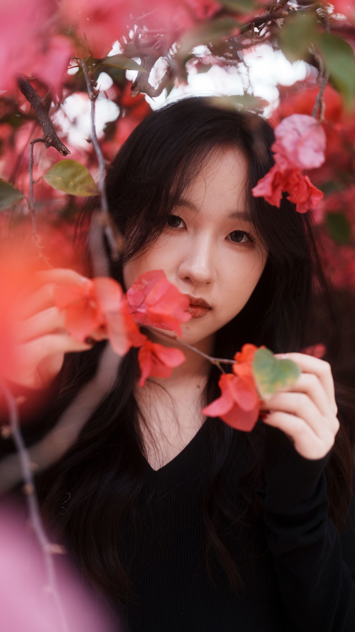 《三角梅美脸》[53P] 插图4