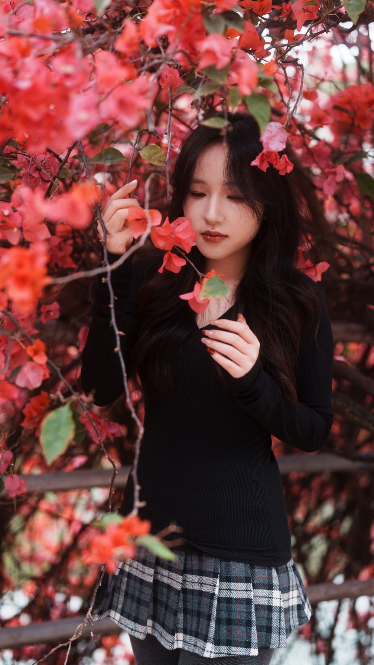 《三角梅美脸》[53P] 插图2