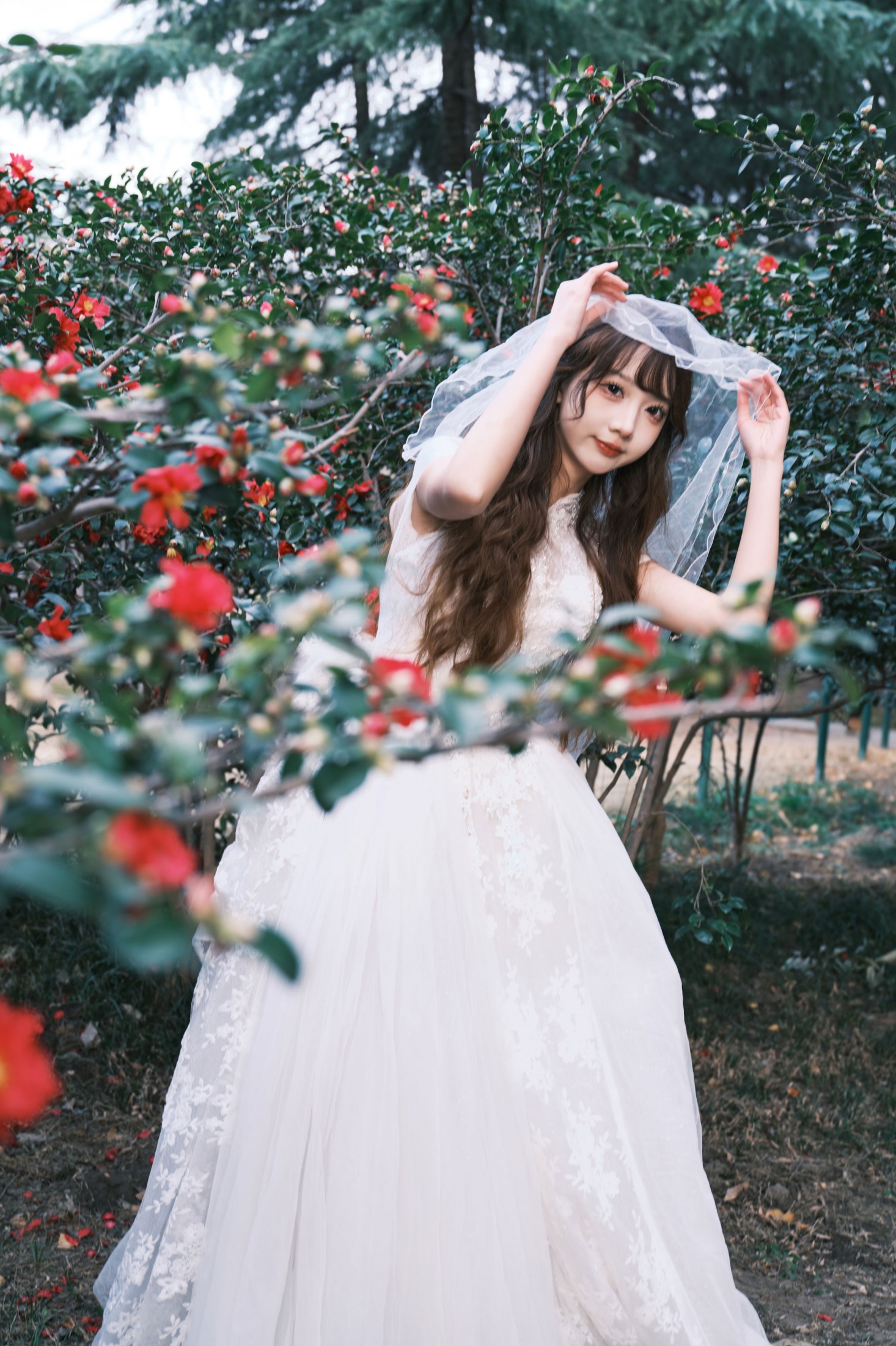 醒醒 - 《山茶花新娘体验卡》[40P]-66COS