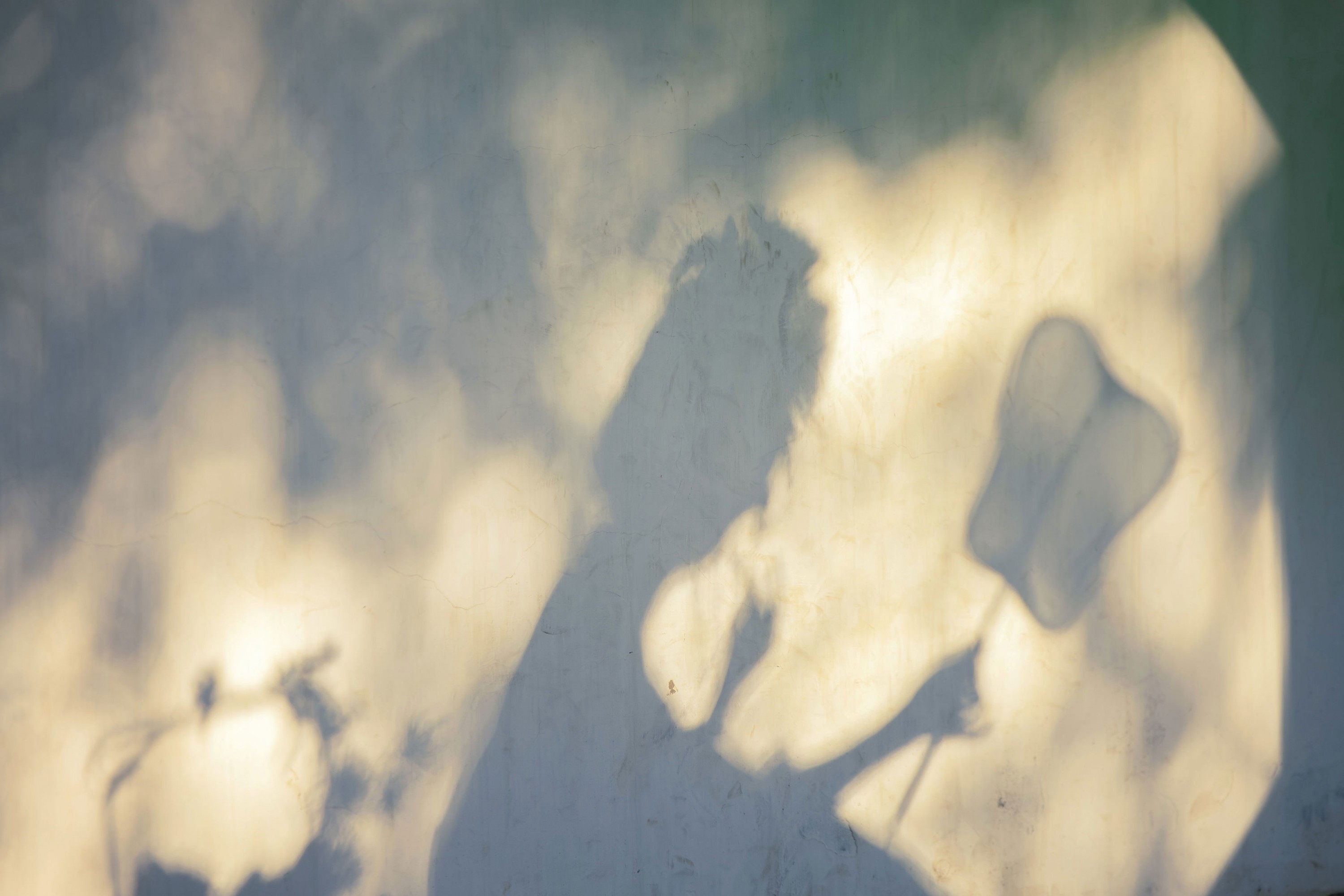 酸奶加心好好次 - 《唐｜“天葩飞堕广寒宫”》[20P] 插图5