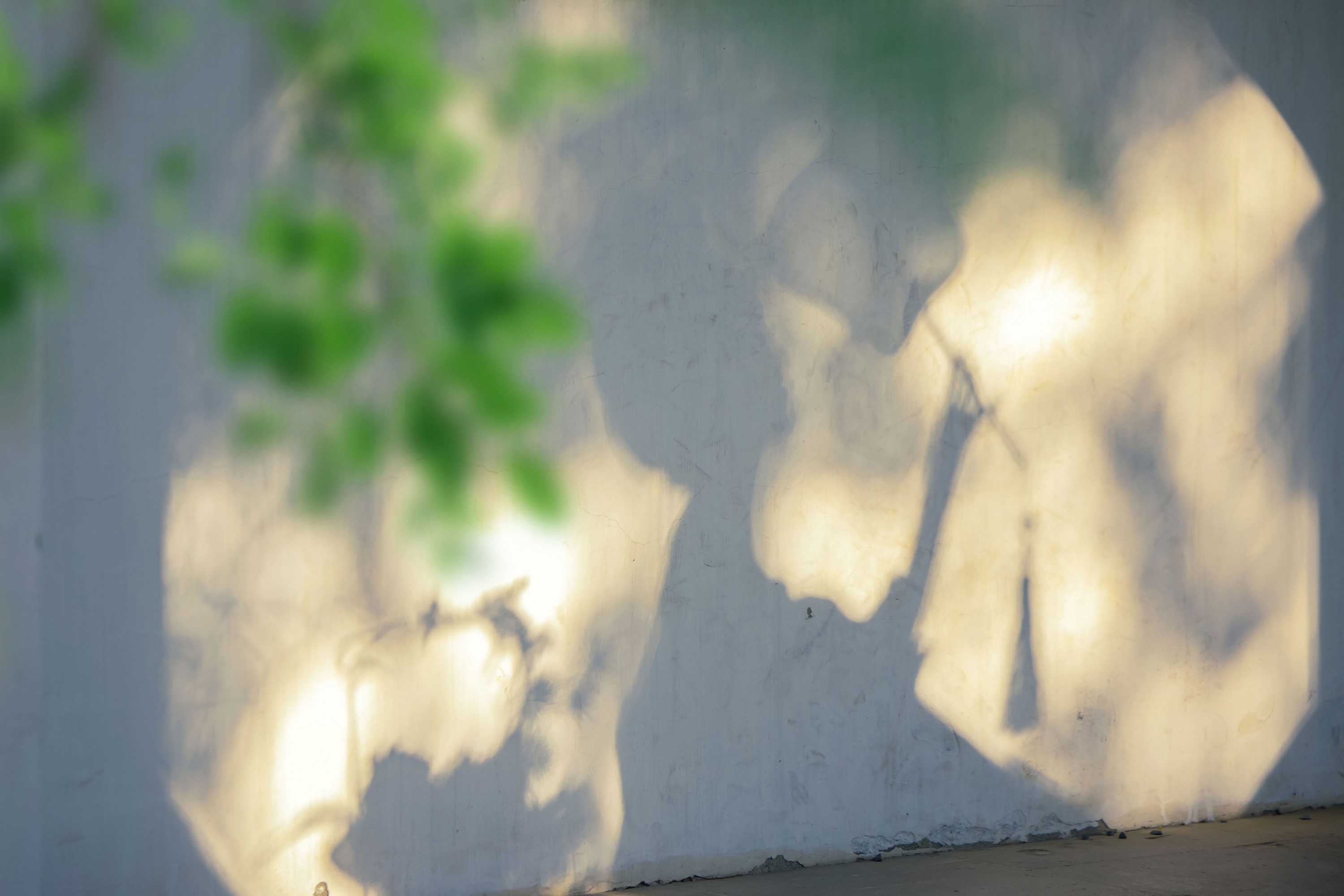 酸奶加心好好次 - 《唐｜“天葩飞堕广寒宫”》[20P] 插图4