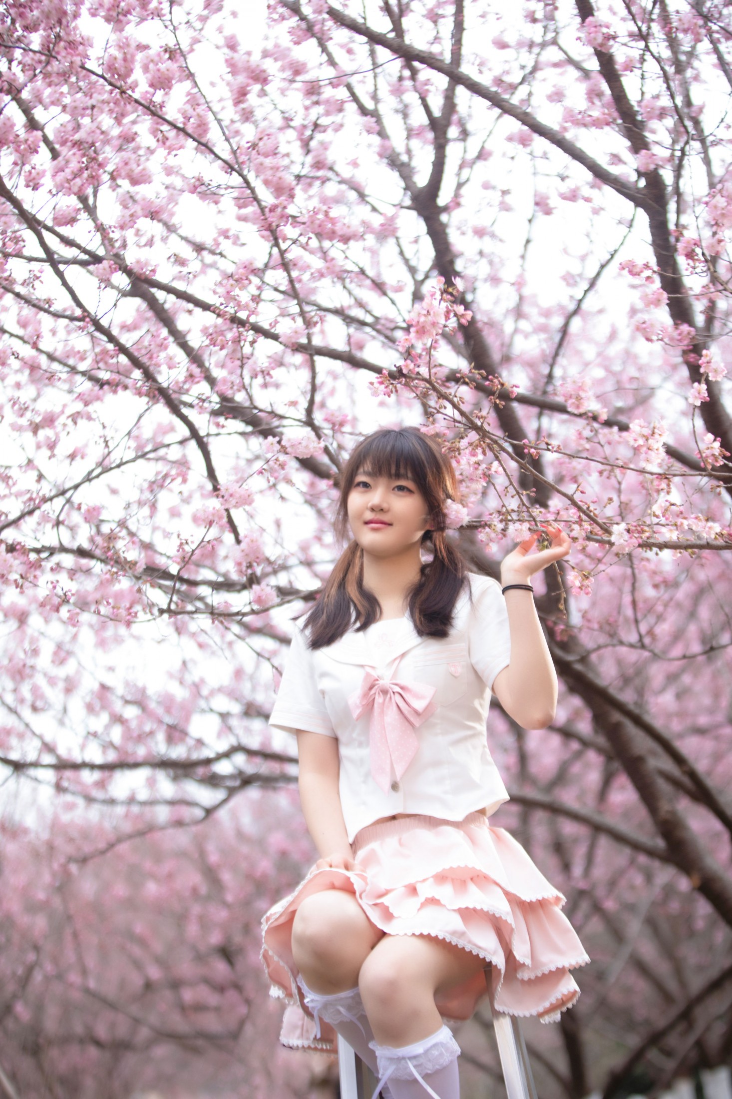 西西 - 《樱花与少女》[10P]-66COS