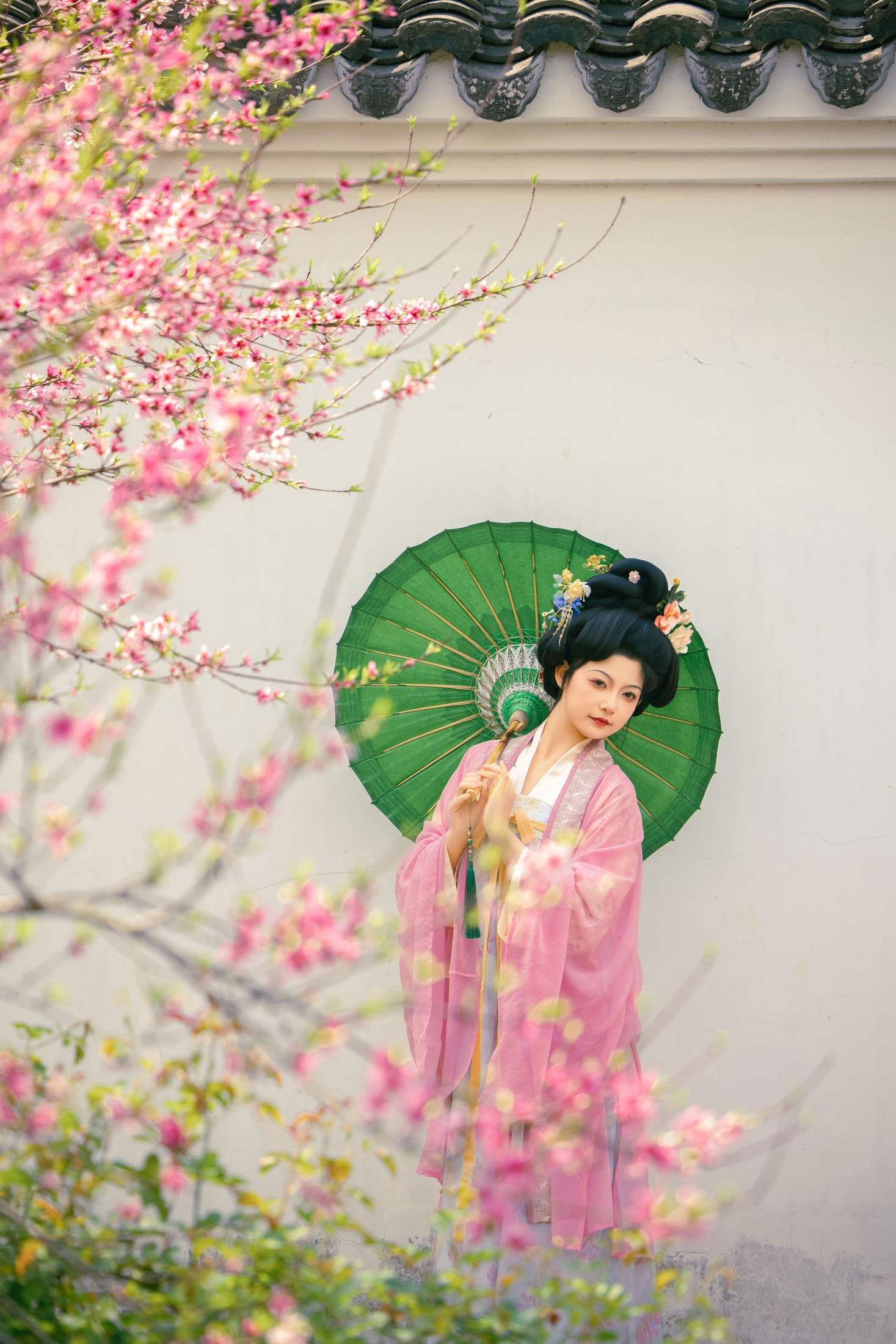 《春日海棠》[12P]-66COS