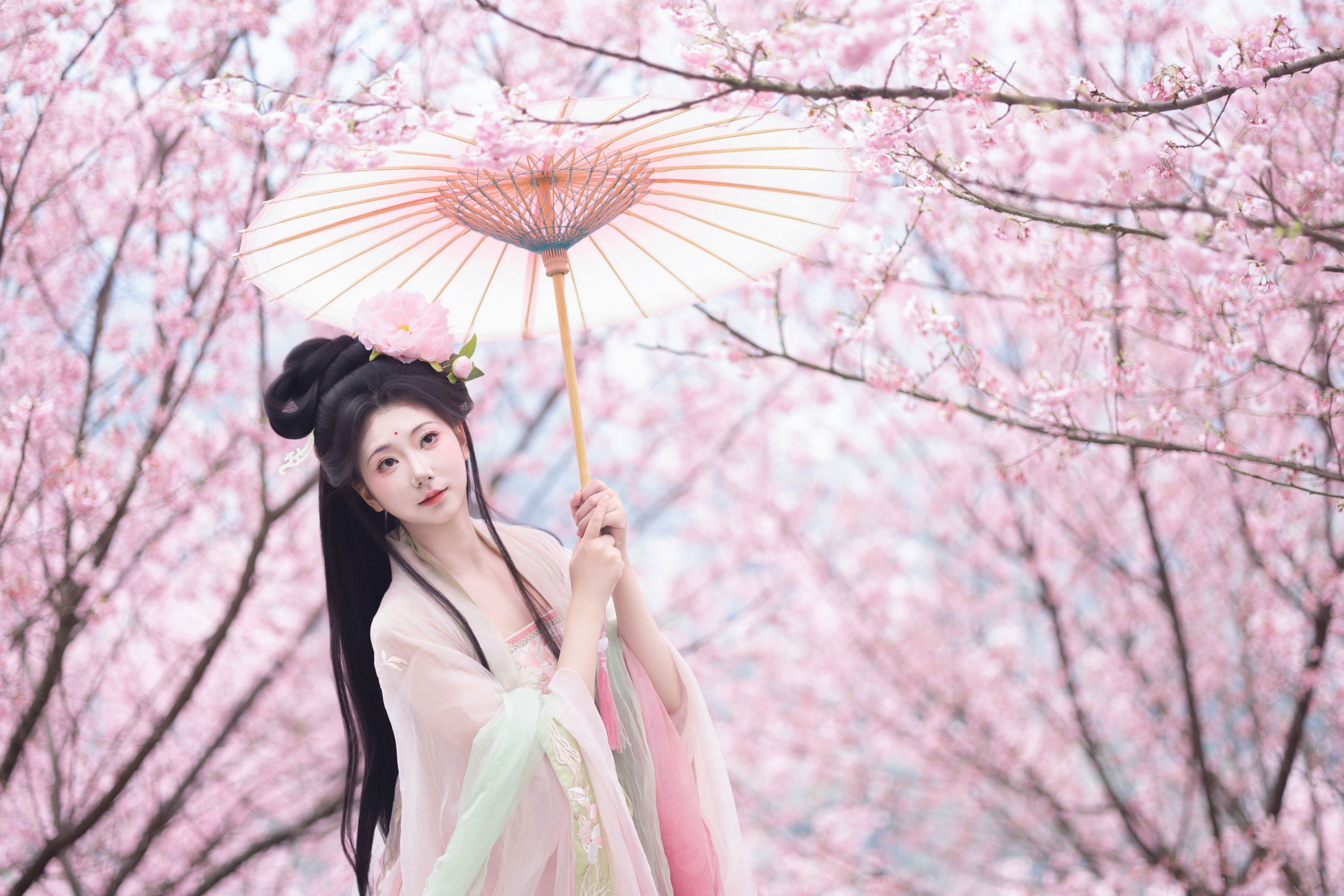 《春樱》[15P] 插图3