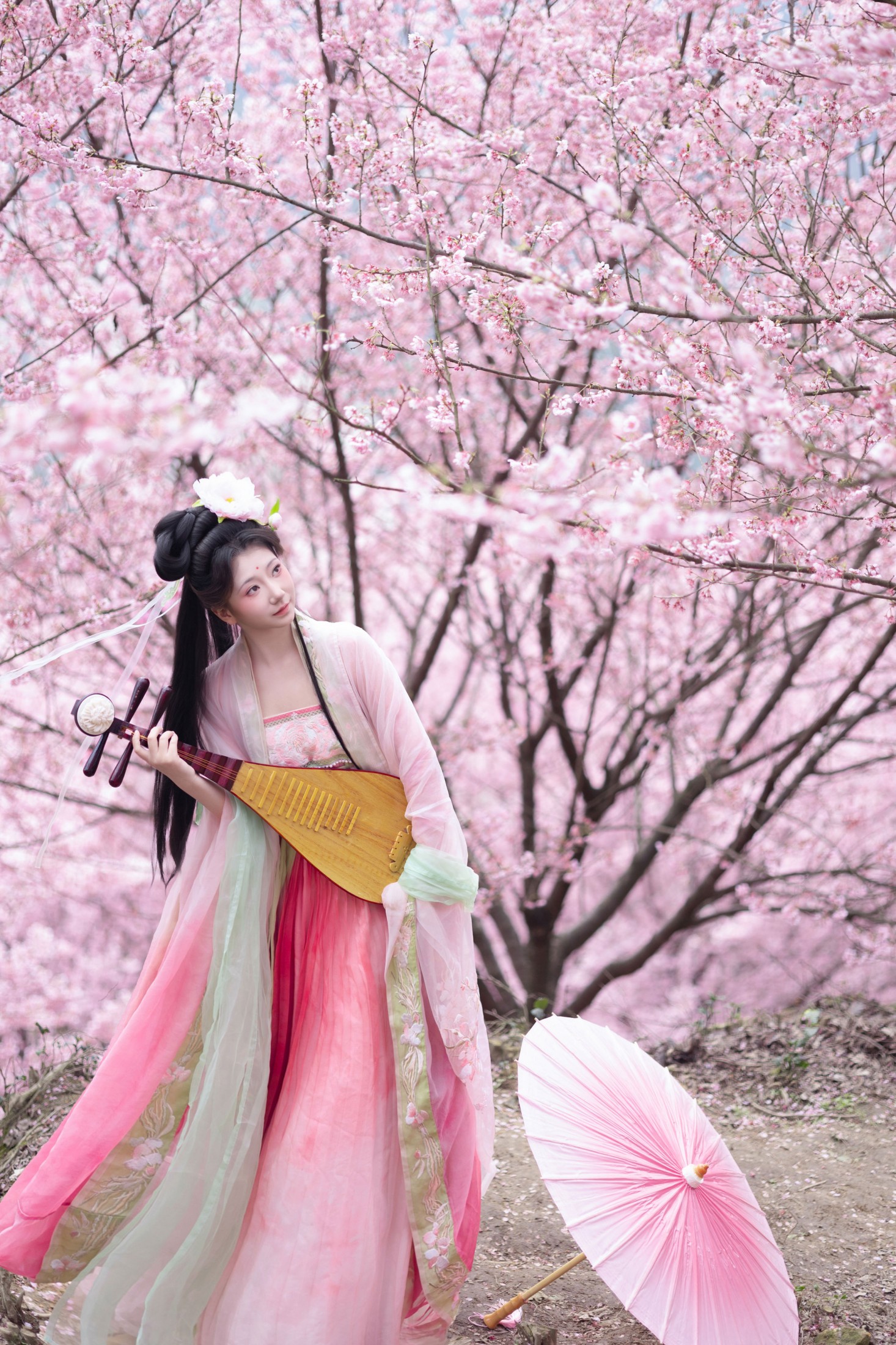 《春樱》[15P] 插图5