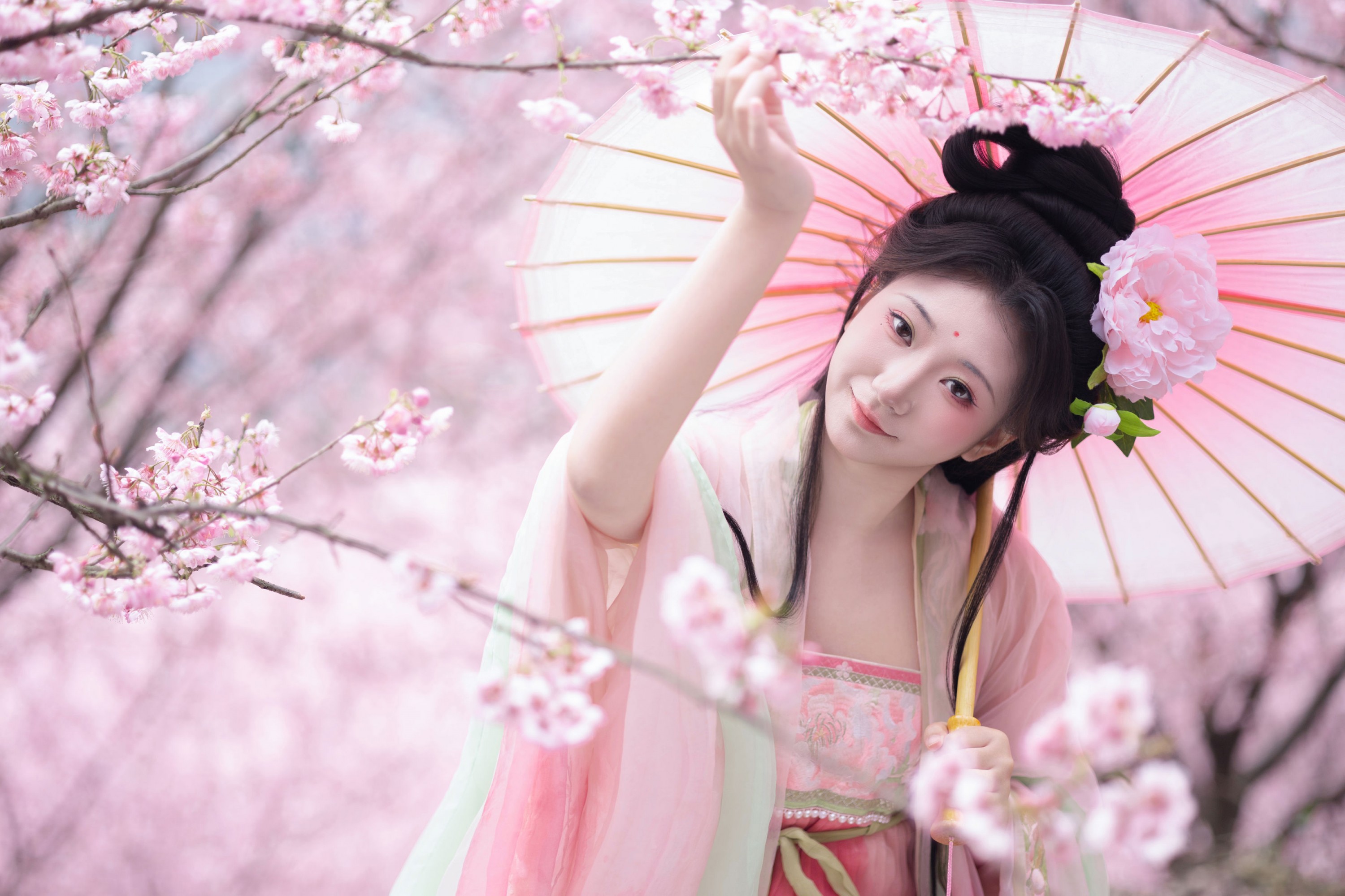 《春樱》[15P] 插图2