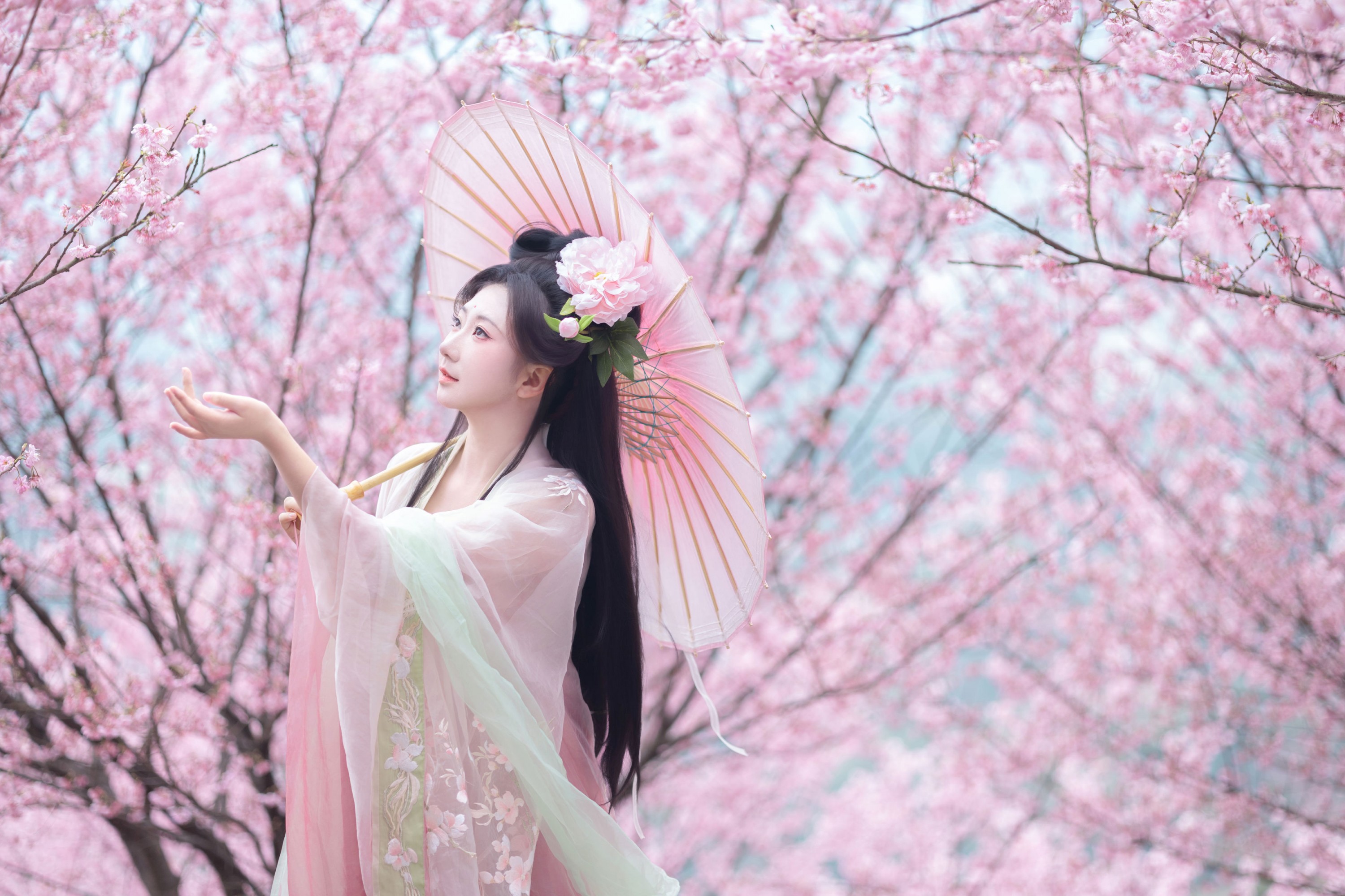 《春樱》[15P]-66COS