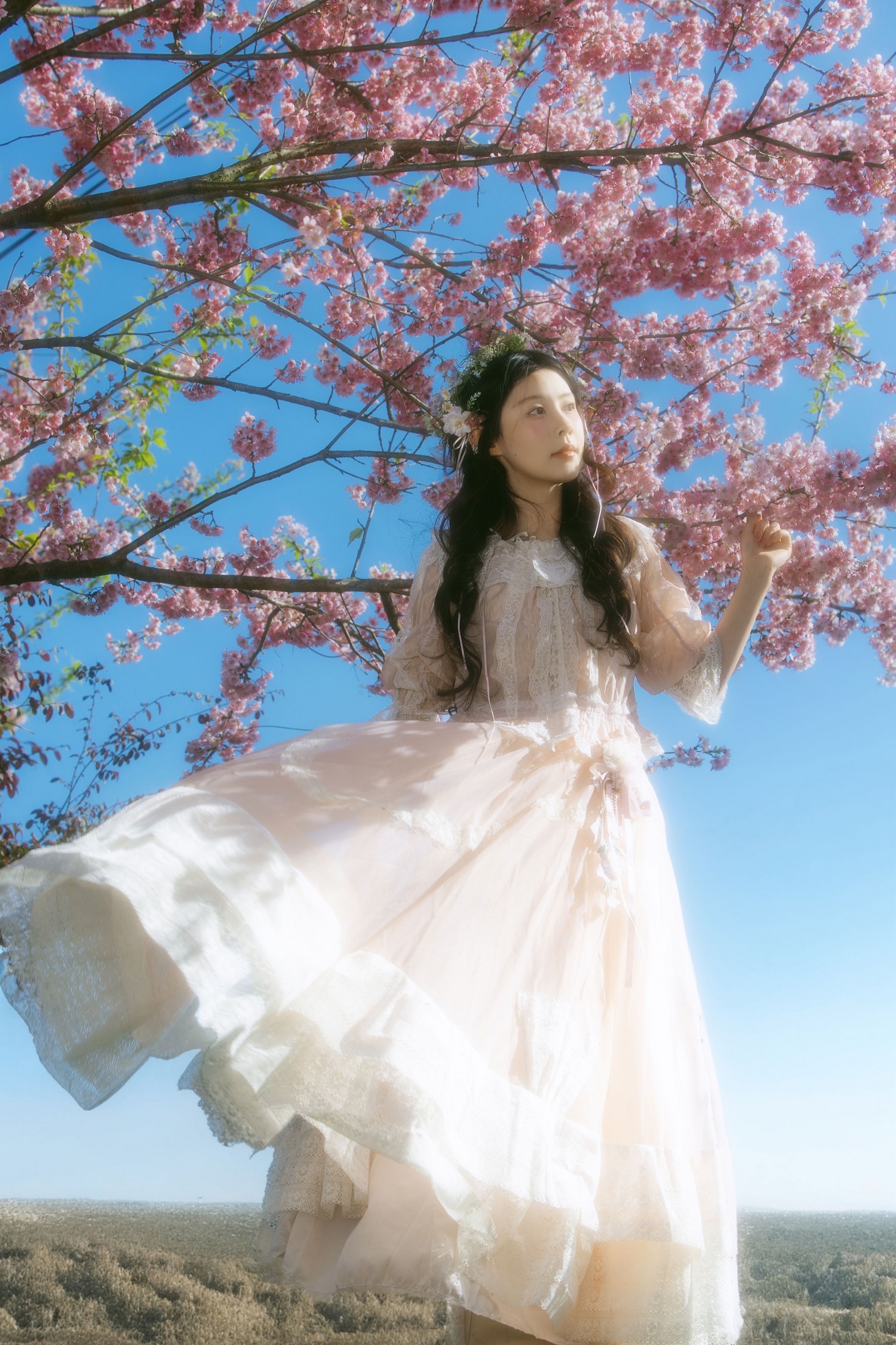 露丝 - 《春樱》[24P]-66COS