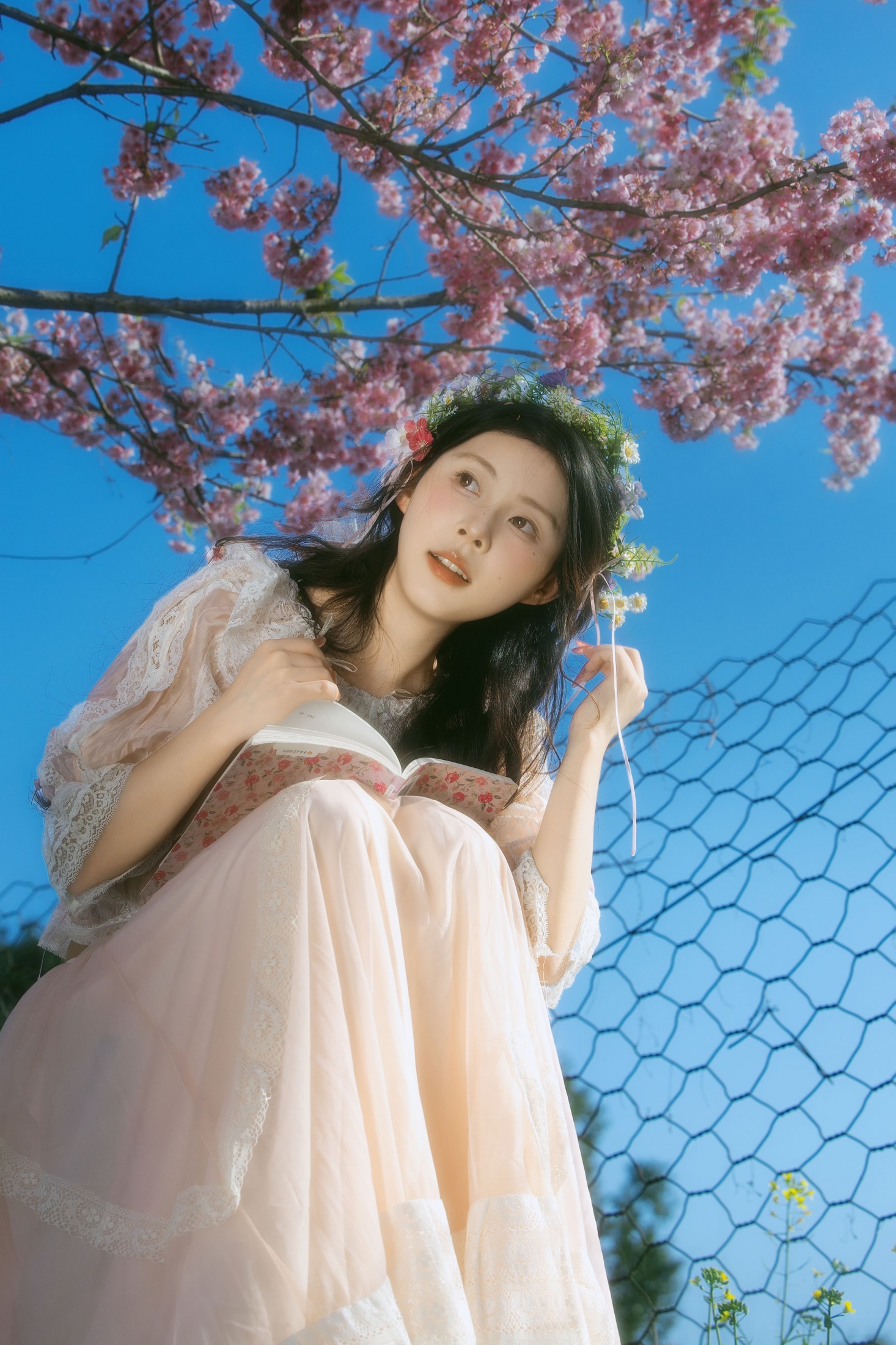 露丝 - 《春樱》[24P] 插图2