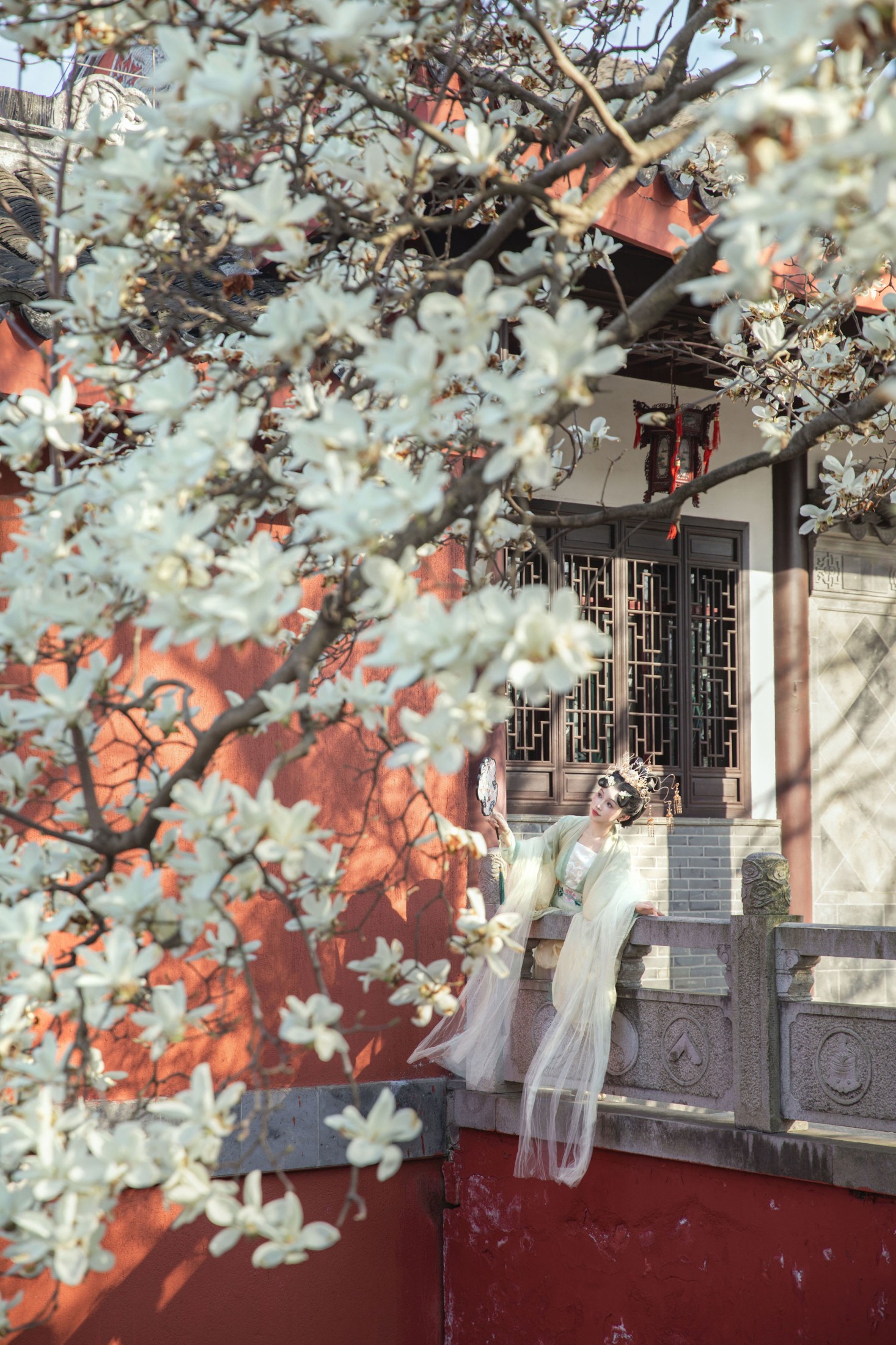 酸奶加心好好次 - 《红墙玉兰》[16P]-66COS