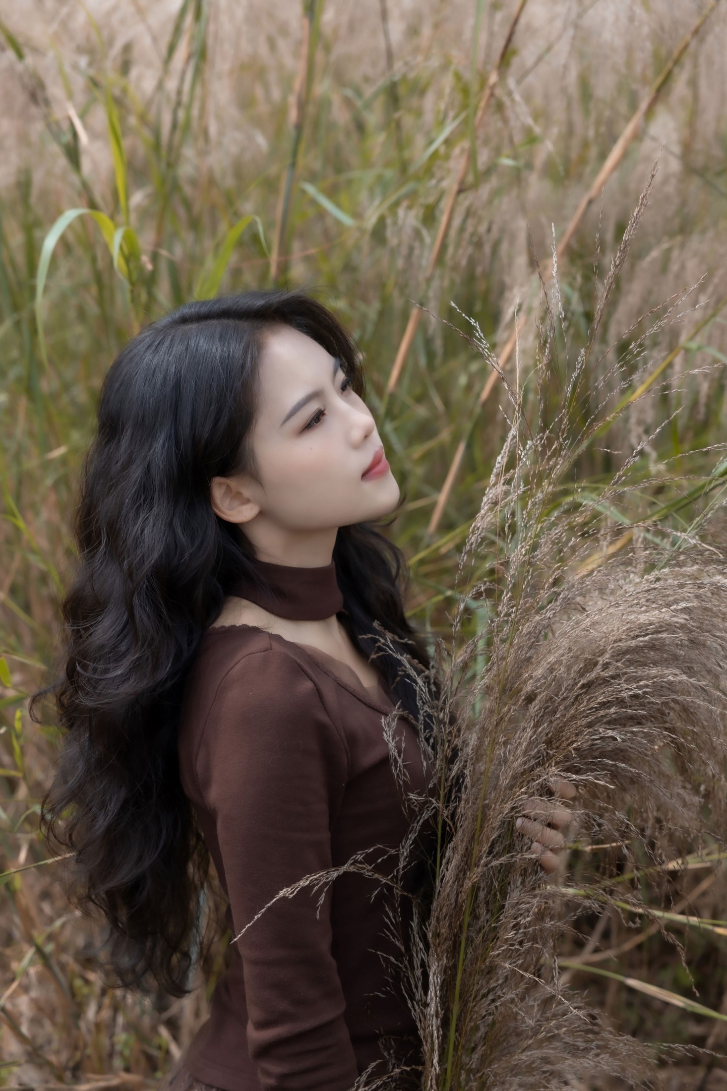 陈十二ing - 《暮色赴荒草》[26P]-66COS