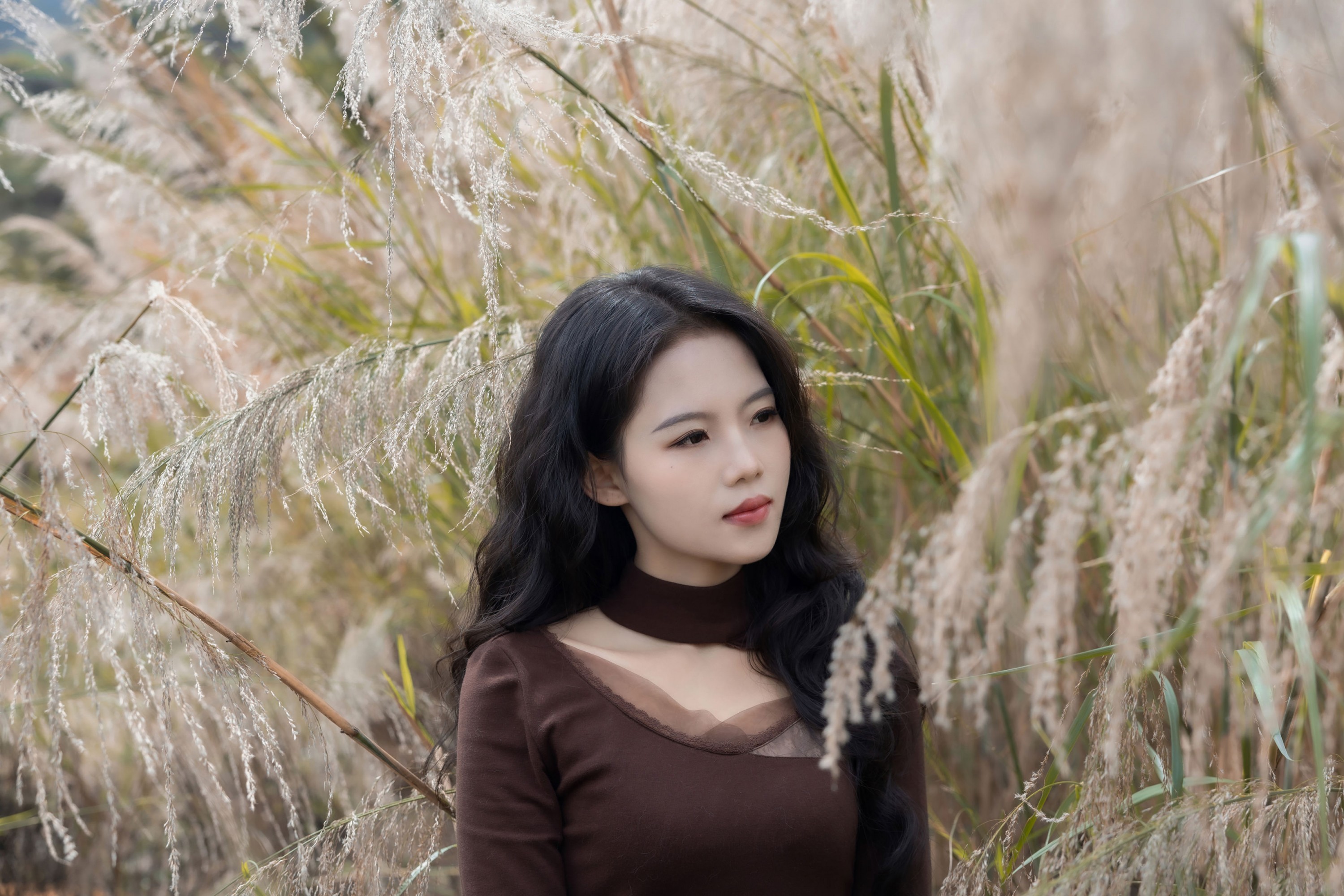 陈十二ing - 《暮色赴荒草》[26P] 插图5