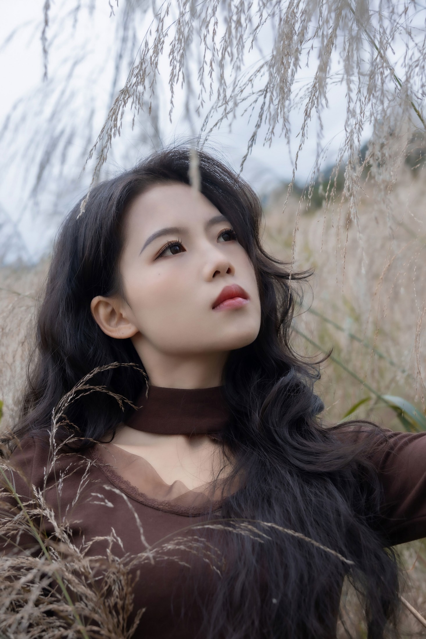 陈十二ing - 《暮色赴荒草》[26P] 插图2