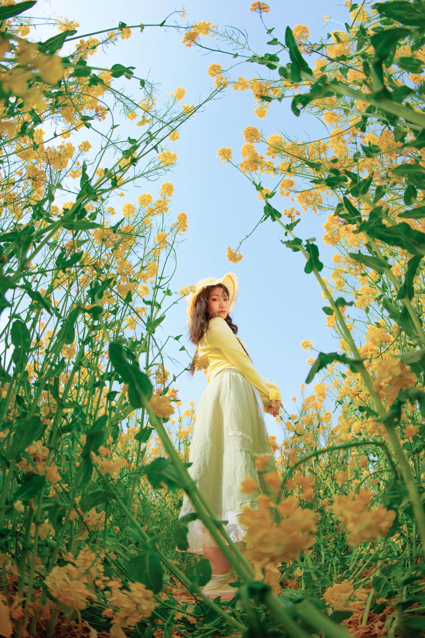 《黄色的生命力》[14P] 插图3