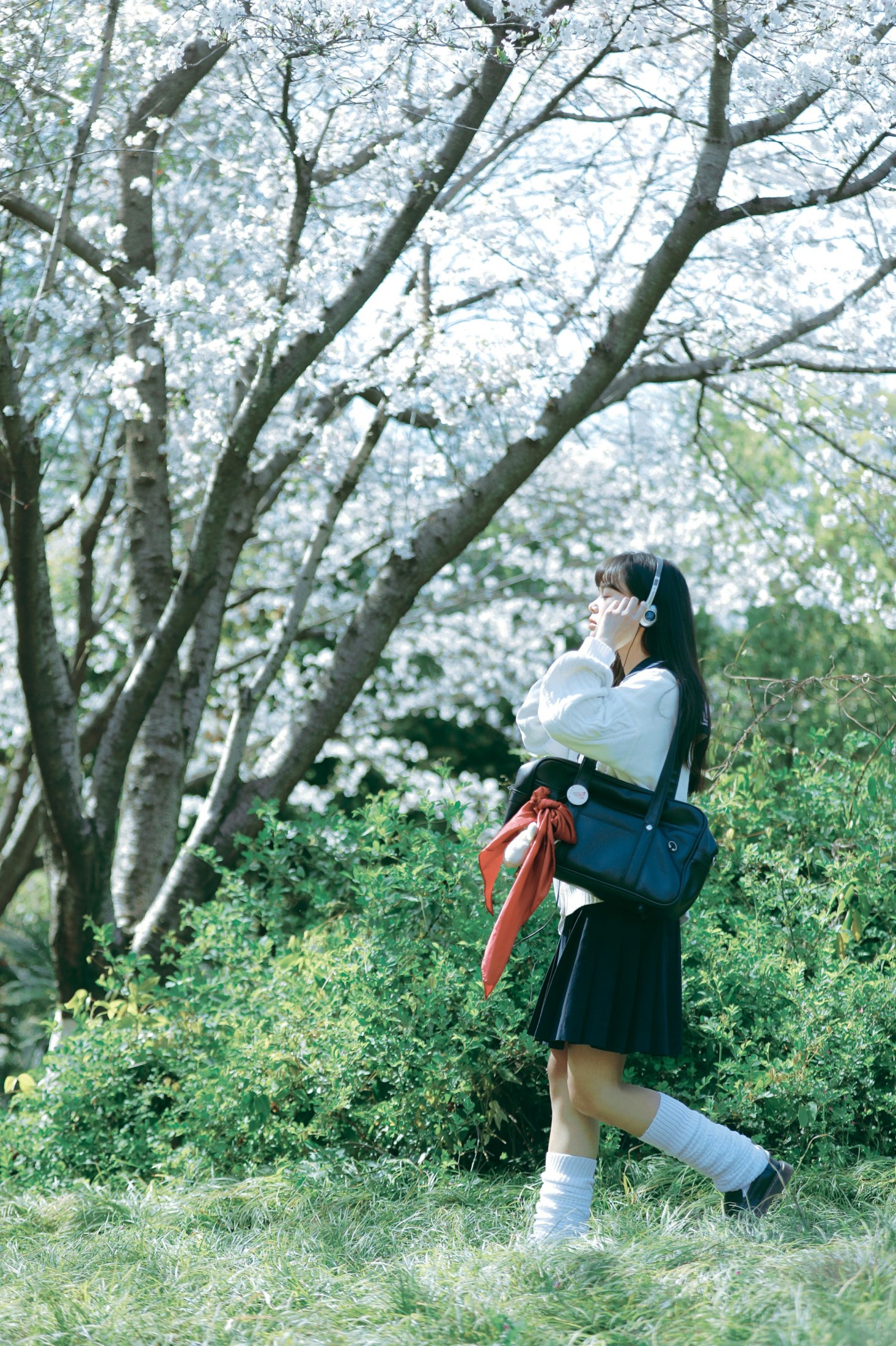 萌三碎 - 《白樱少女》[12P] 插图2