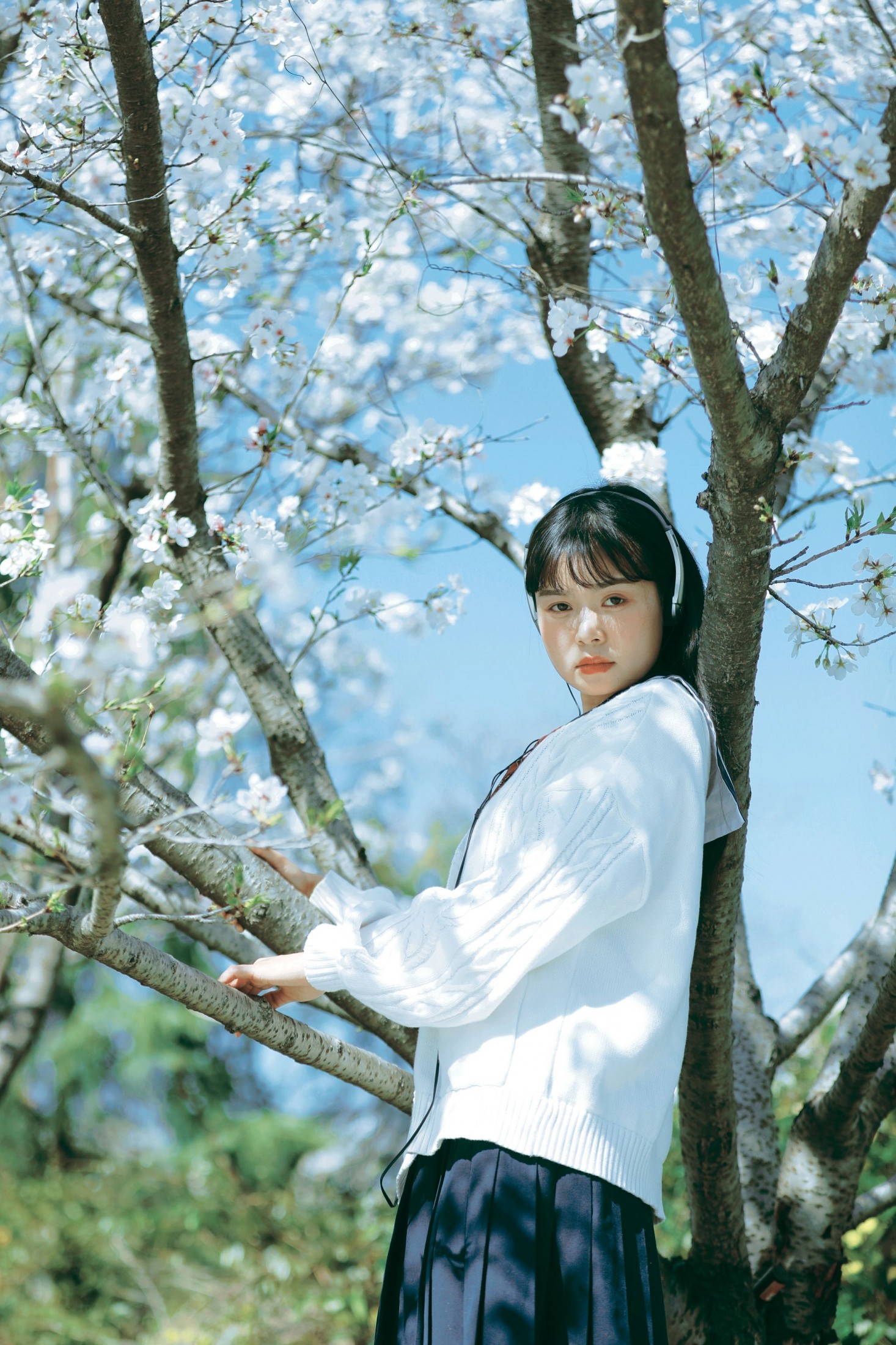 萌三碎 - 《白樱少女》[12P] 插图3