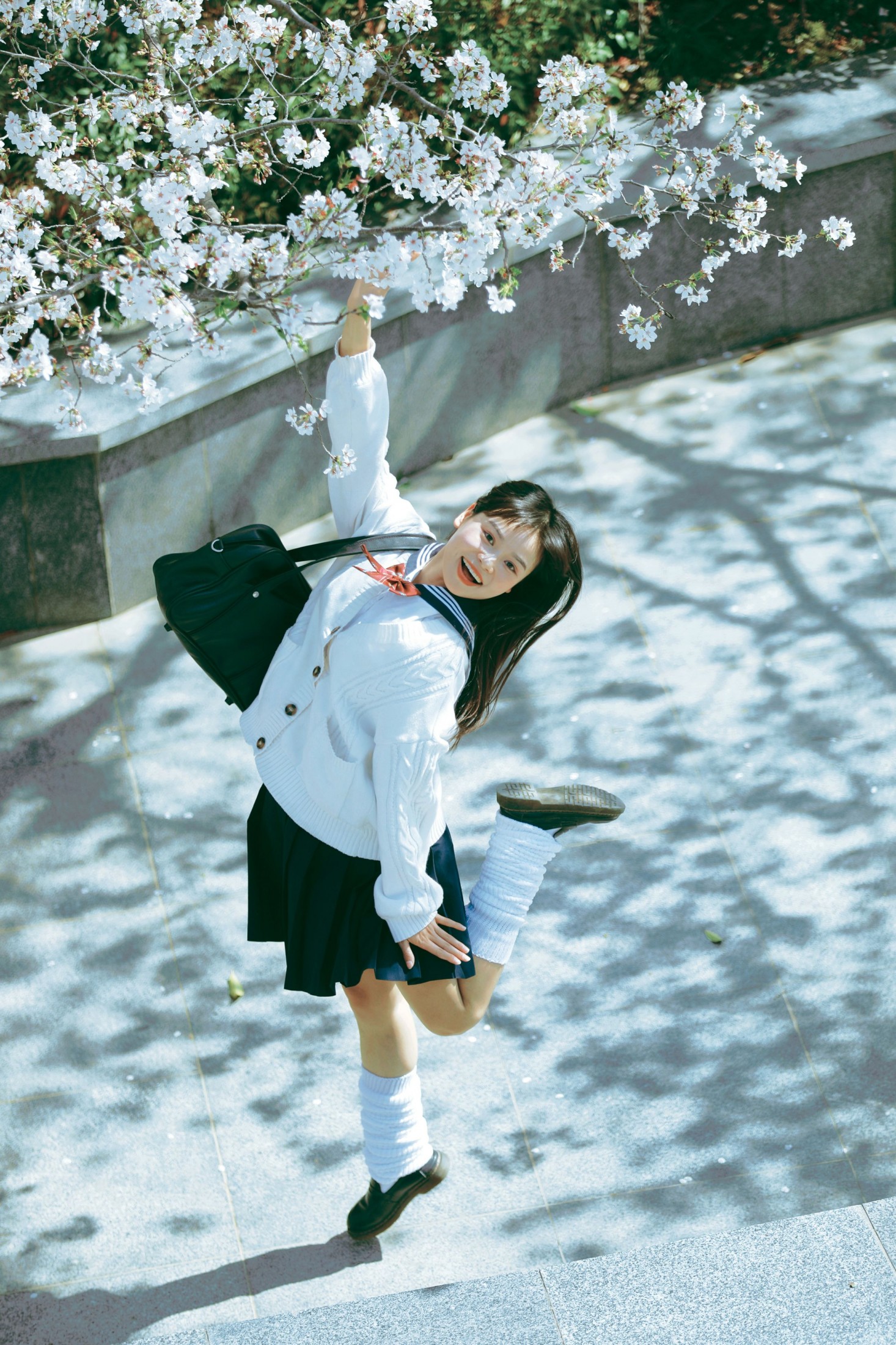 萌三碎 - 《白樱少女》[12P] 插图4