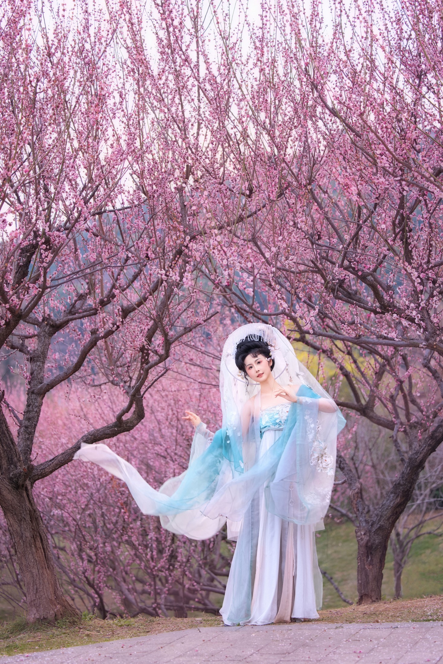 橘芙芙 - 《插画风｜梅花》[10P] 插图5