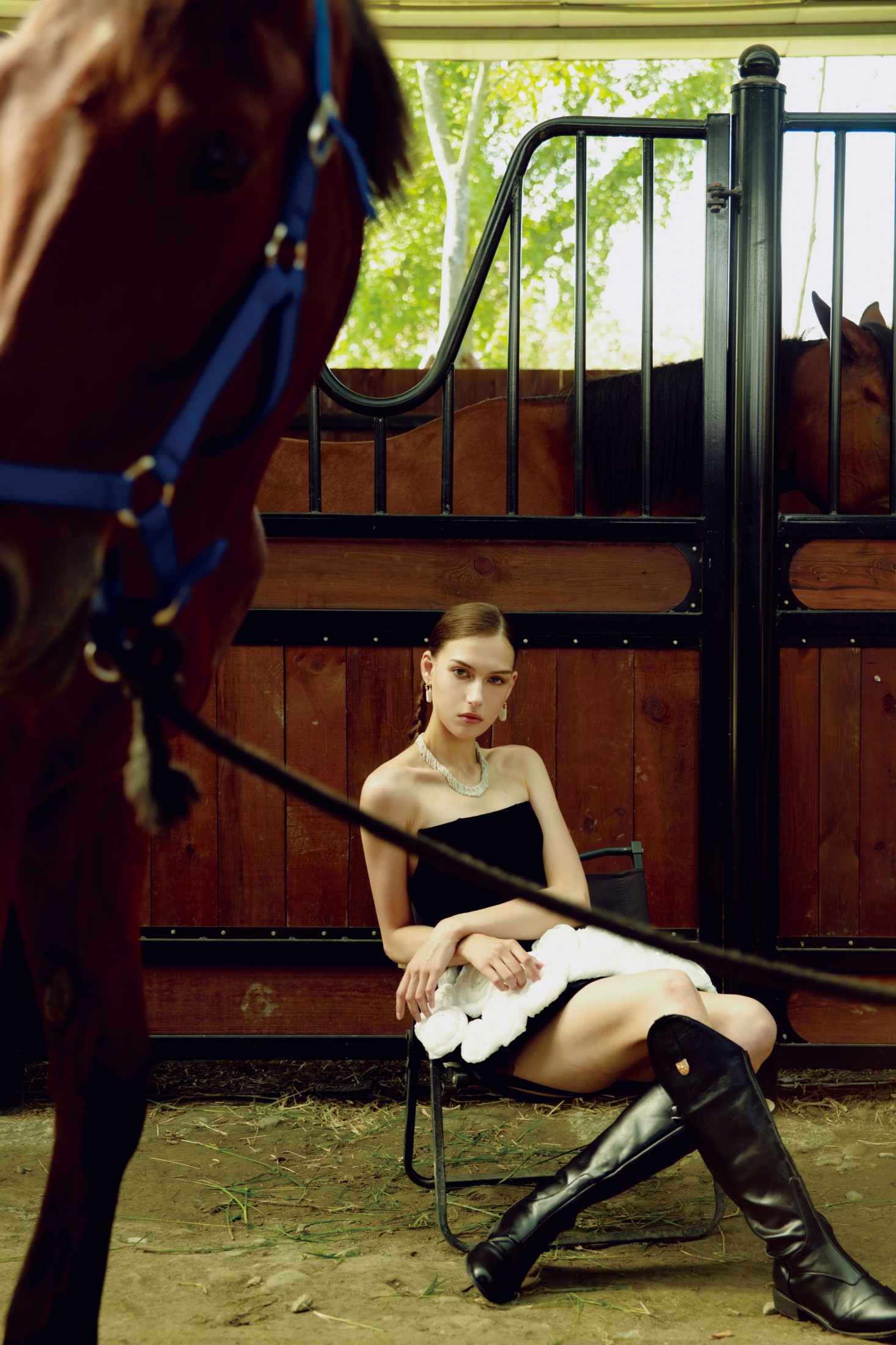 《马》[9P] 插图2