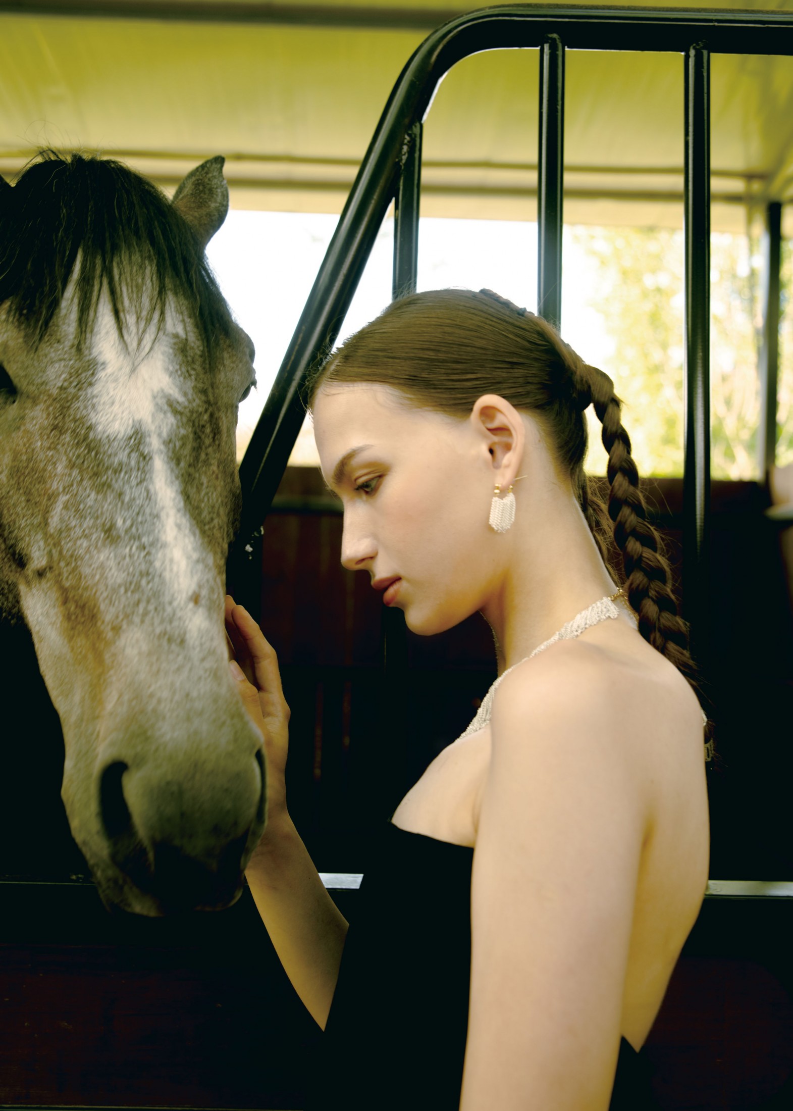 《马》[9P] 插图5