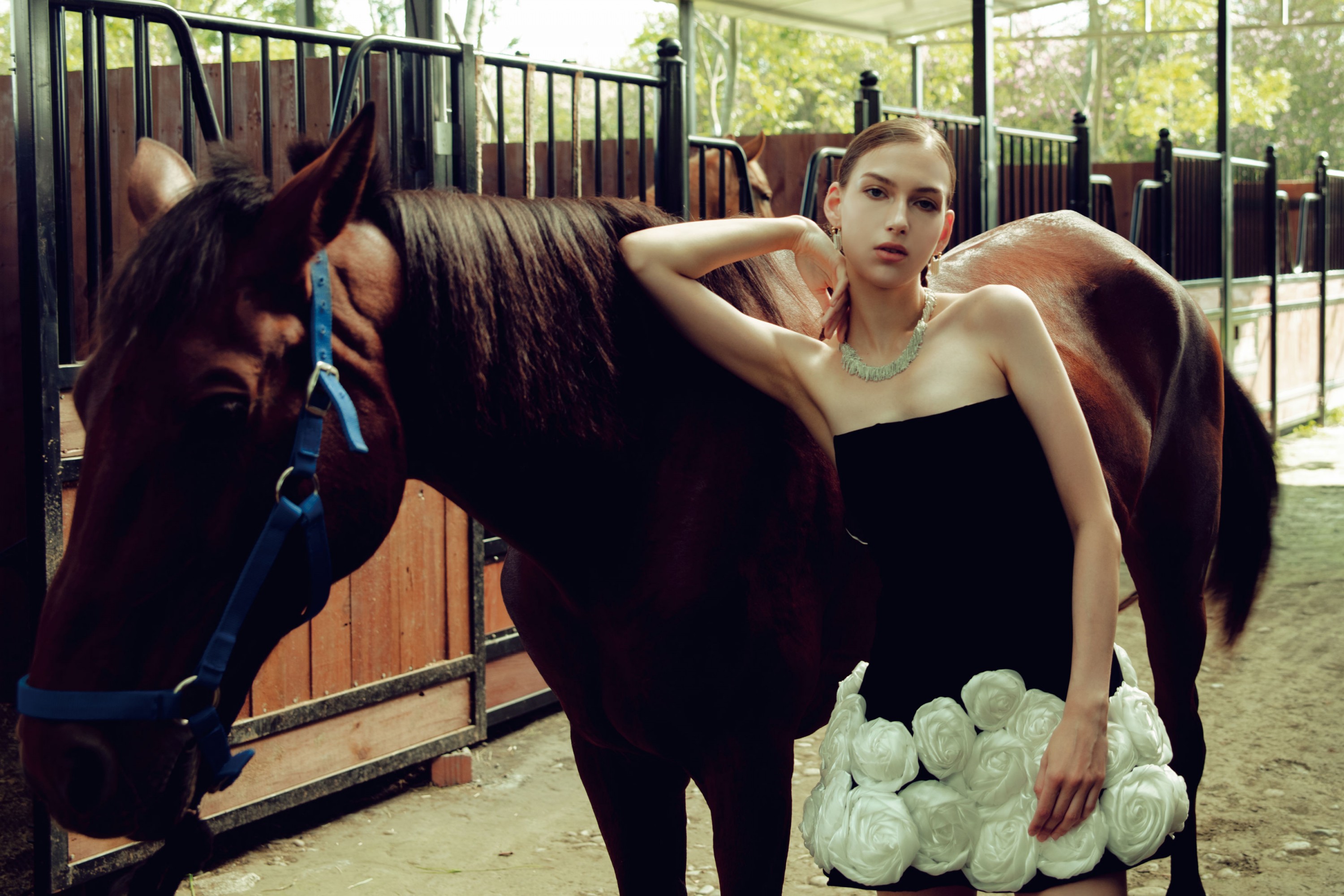 《马》[9P] 插图3