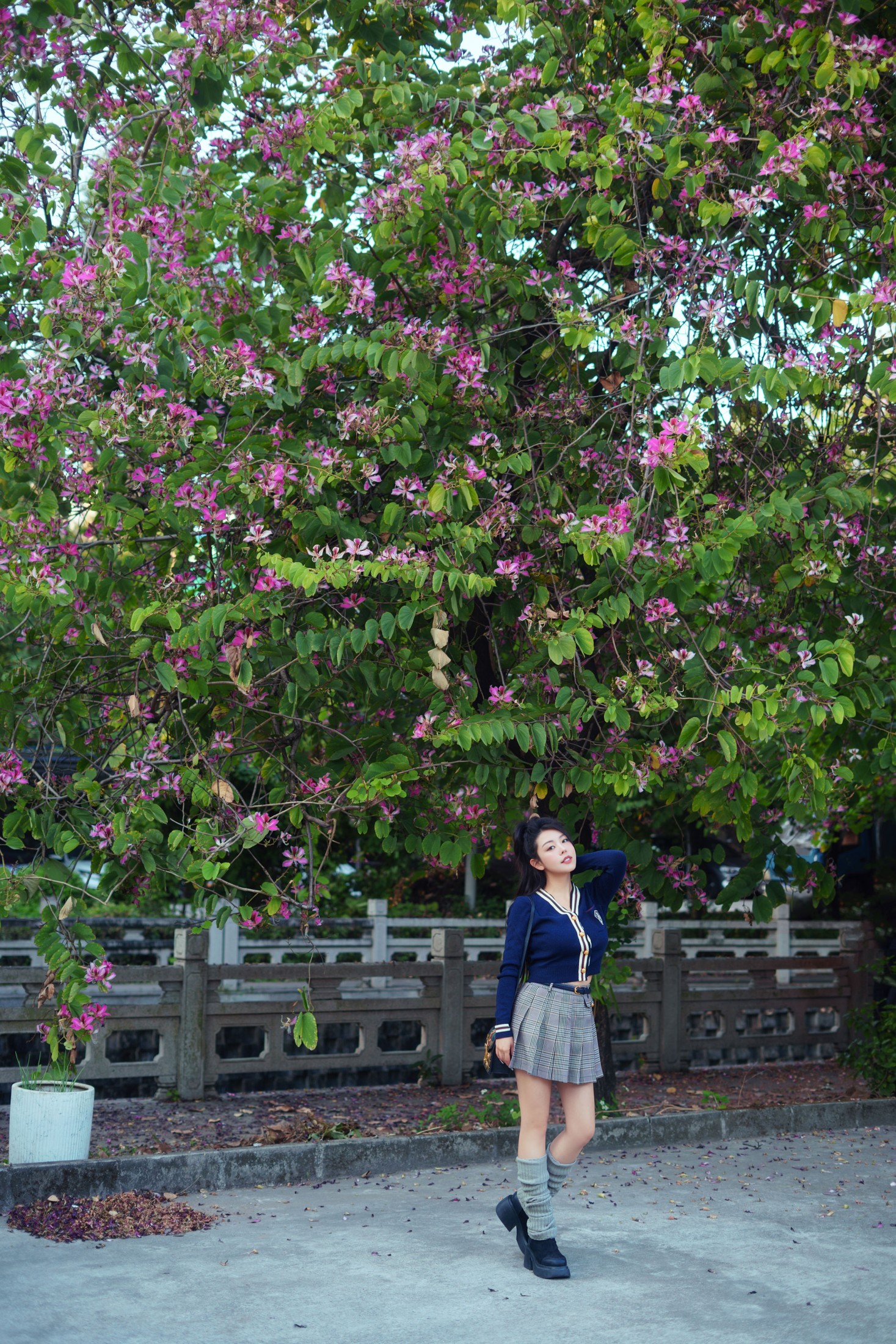 米妮爱美丽 - 《JK少女写真》[12P] 插图3