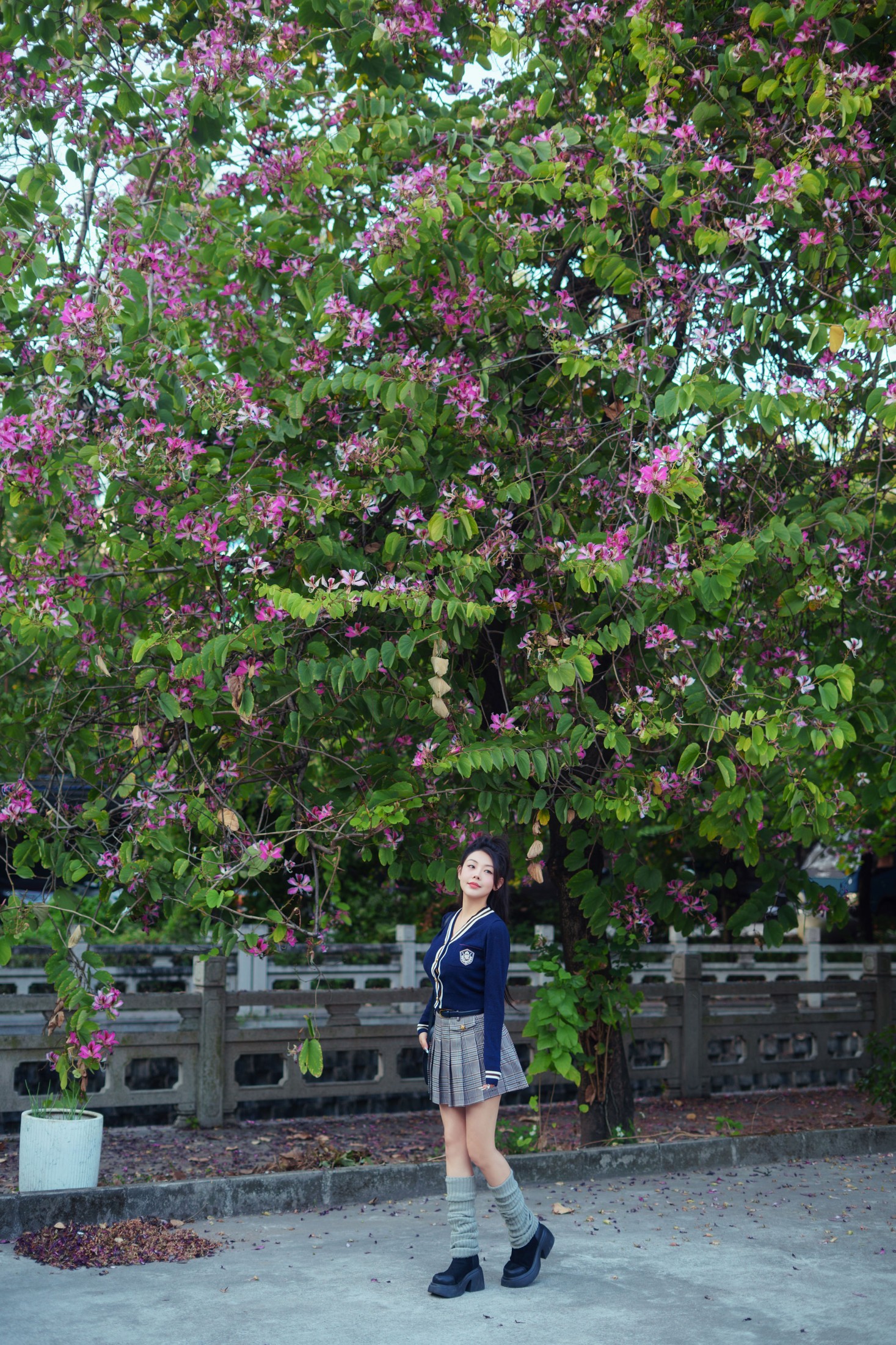 米妮爱美丽 - 《JK少女写真》[12P] 插图2