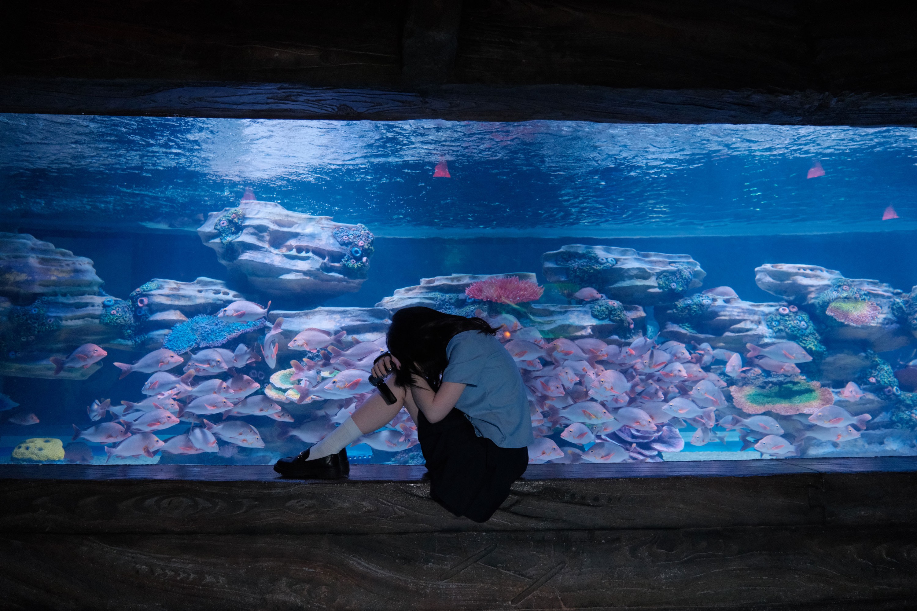 西柚子 - 《海底世界jk》[26P] 插图3