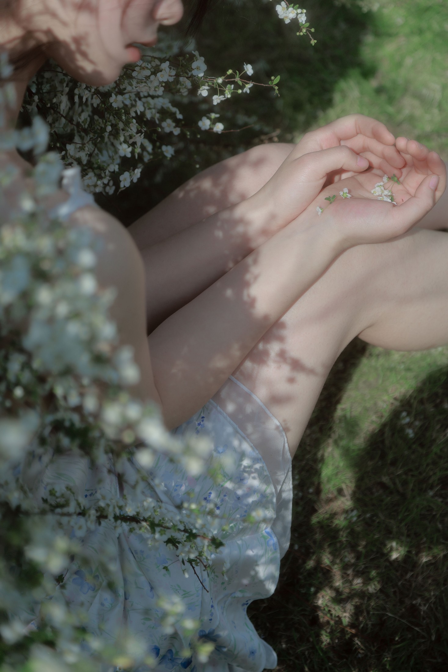 不是酱紫 - 《春雪》[13P]-66COS