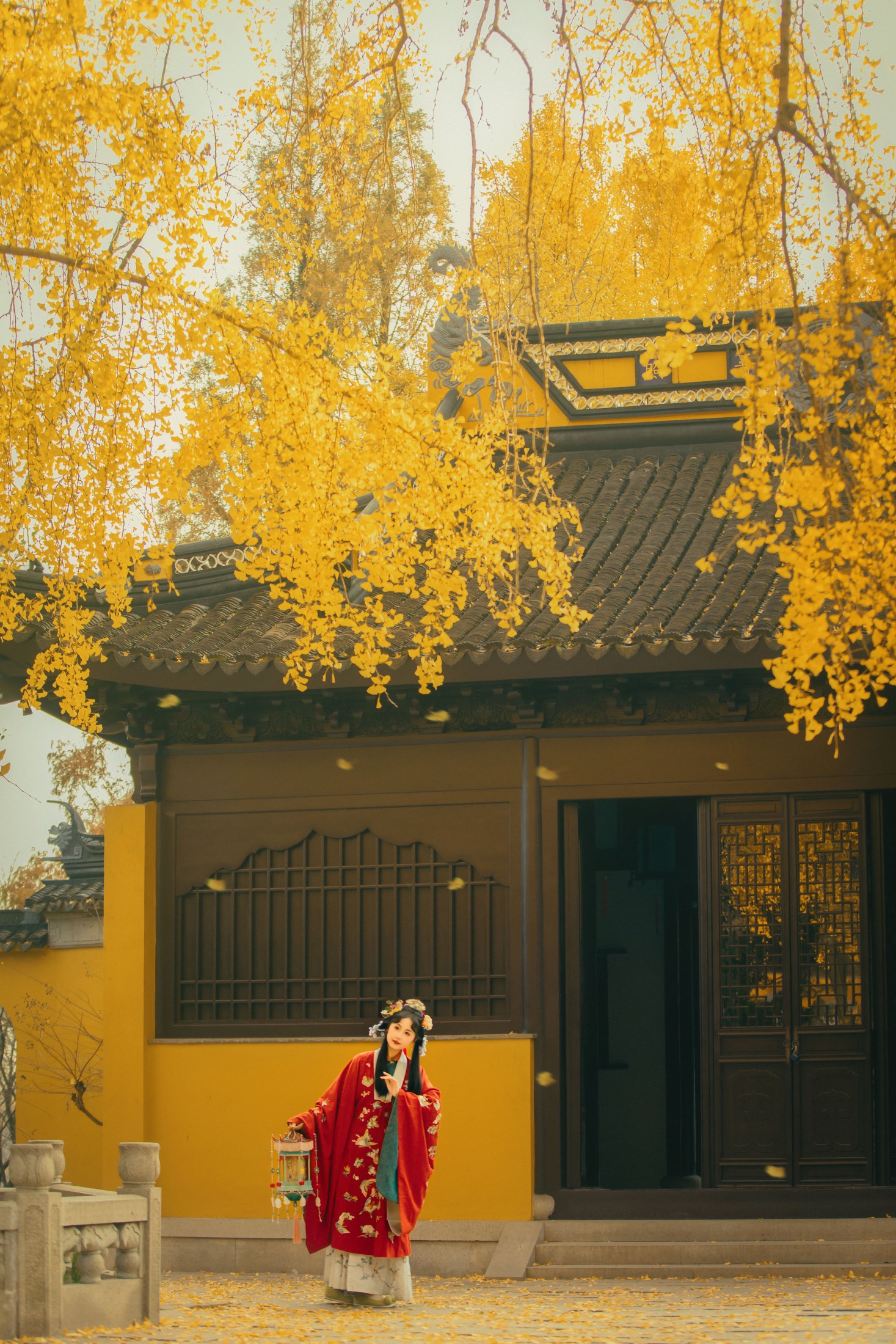 橘芙芙 - 《上方山的银杏》[10P] 插图5