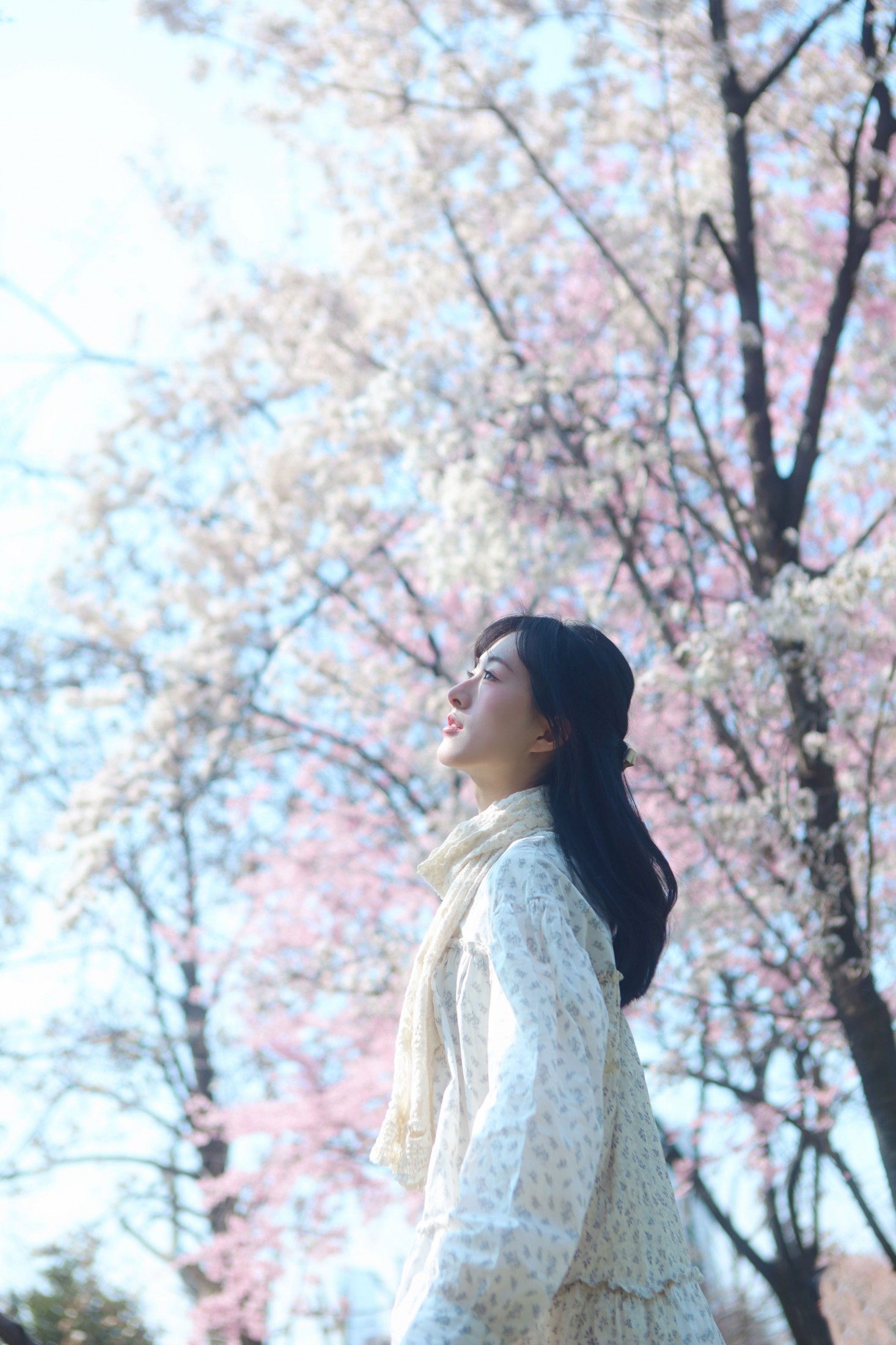 《樱花树下，你是我的春天》[9P]-66COS