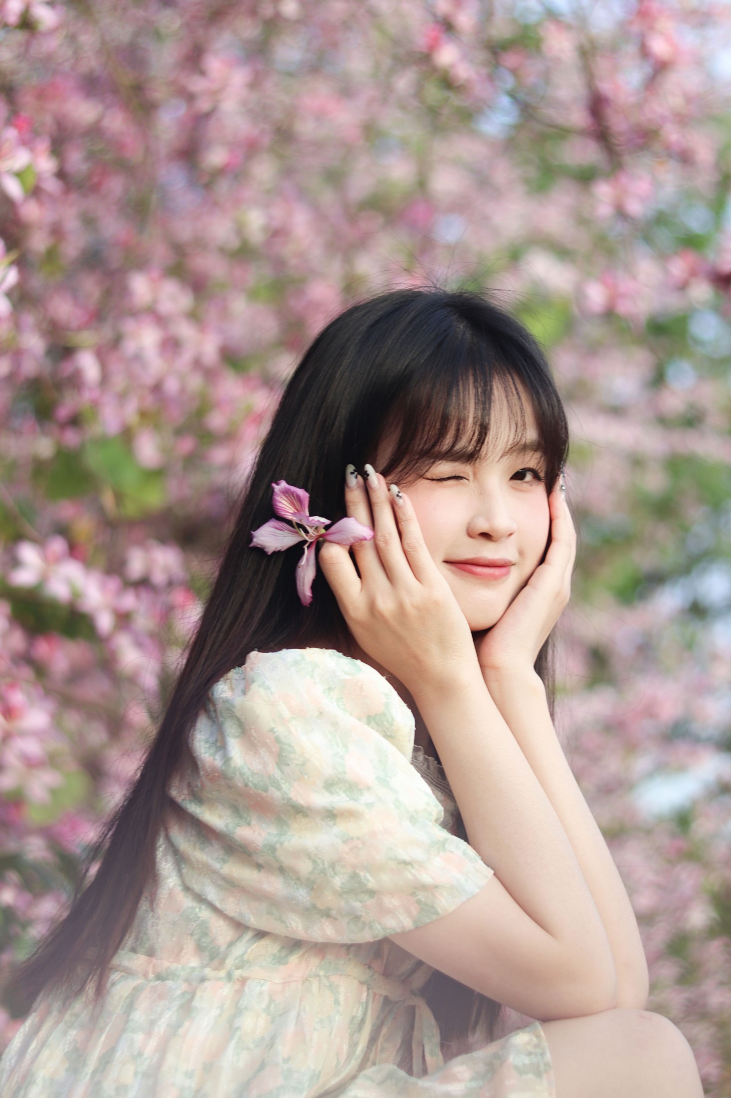 《紫荆花满城》[21P]-66COS