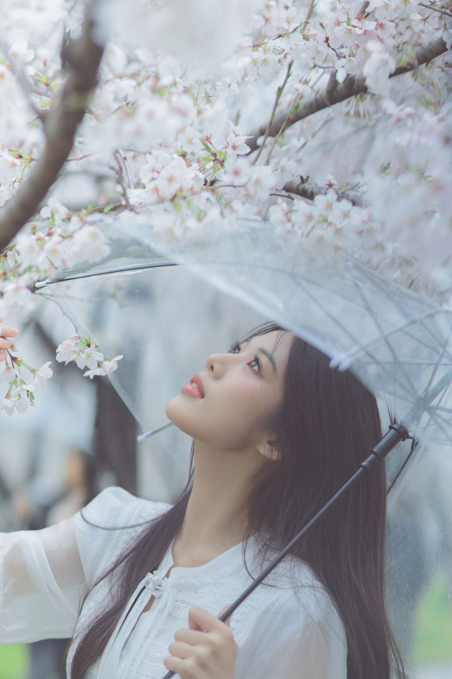 西西 - 《白色樱花》[28P] 插图5