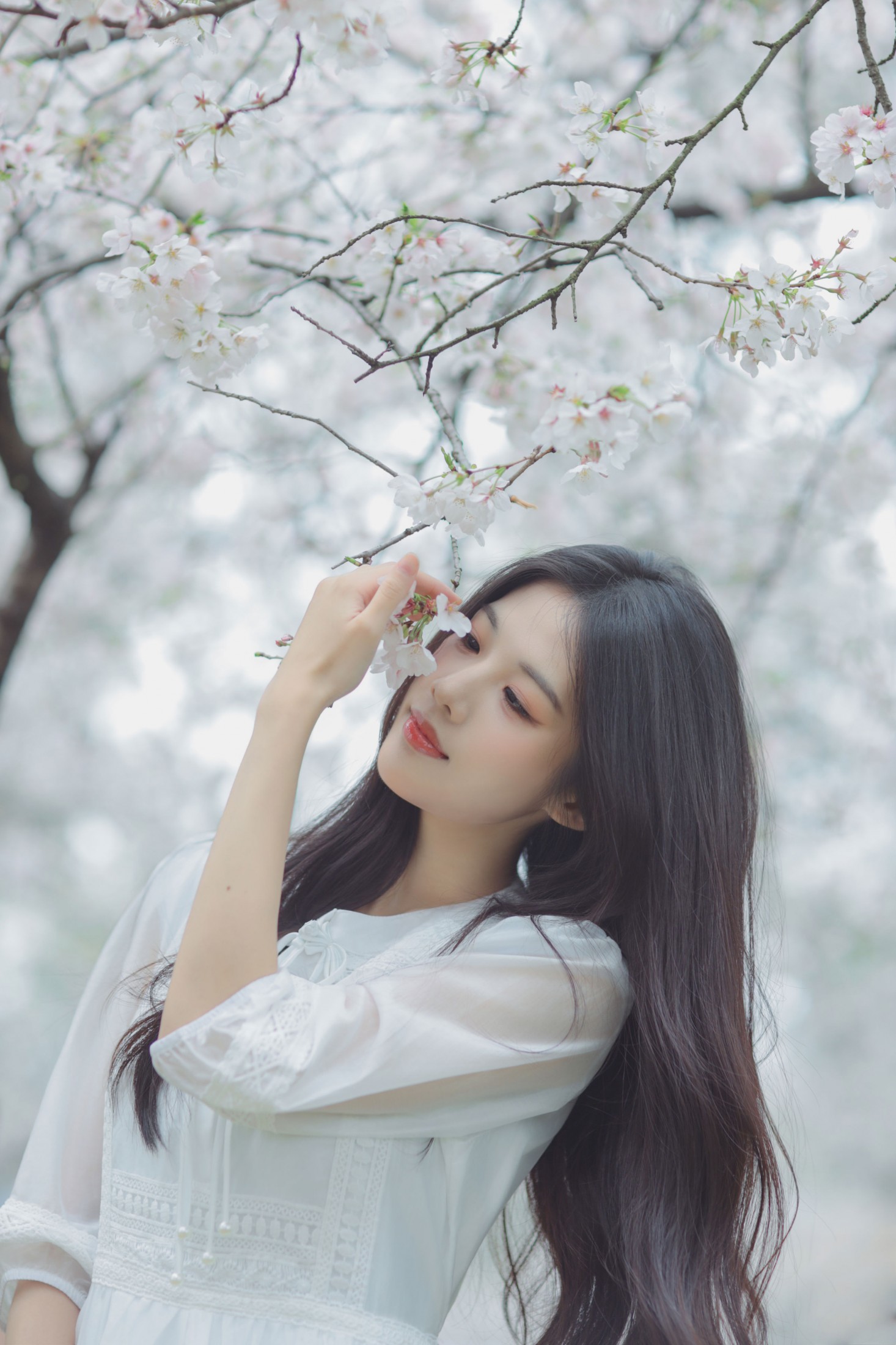 西西 - 《白色樱花》[28P]-66COS