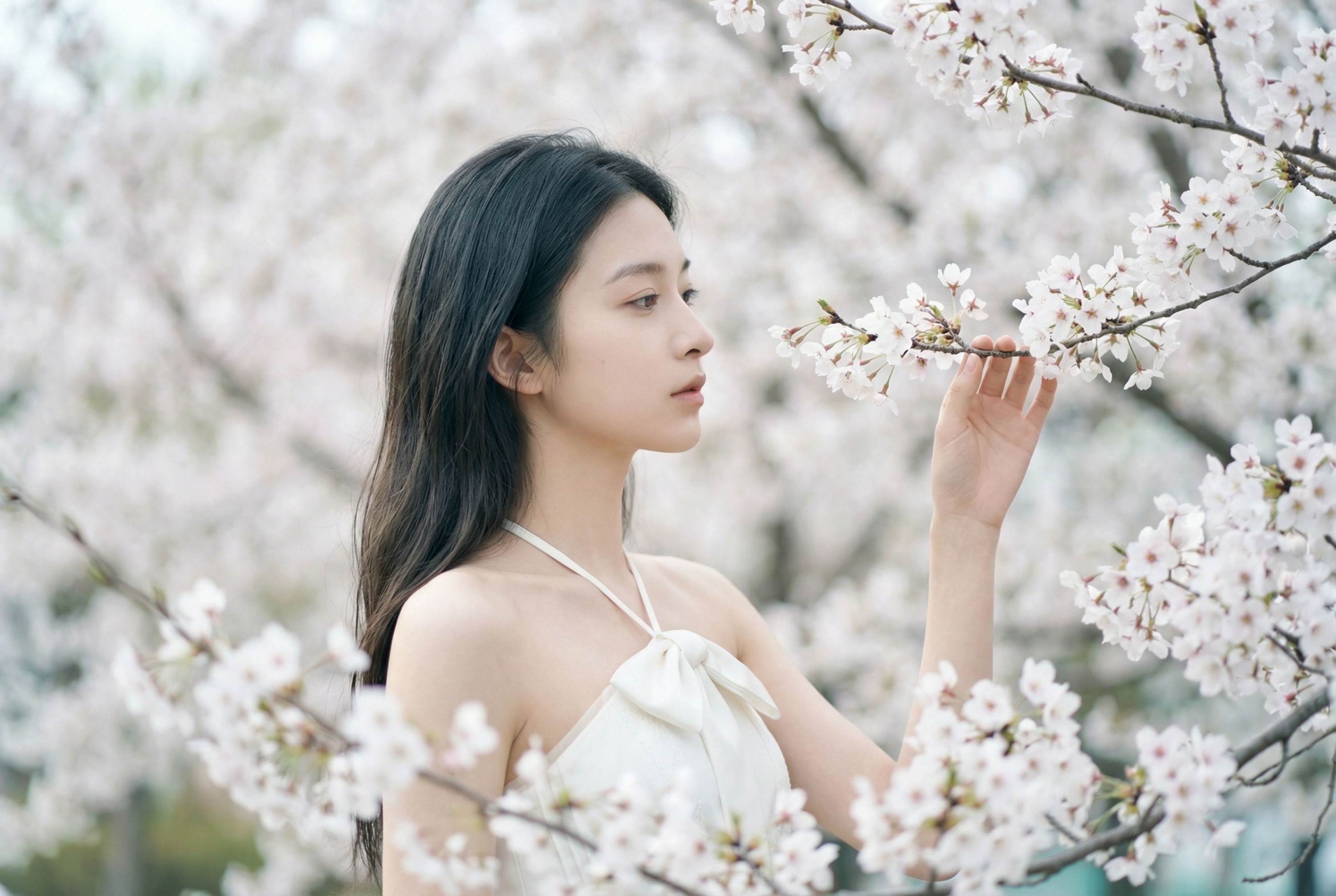 《春日信》[10P] 插图2