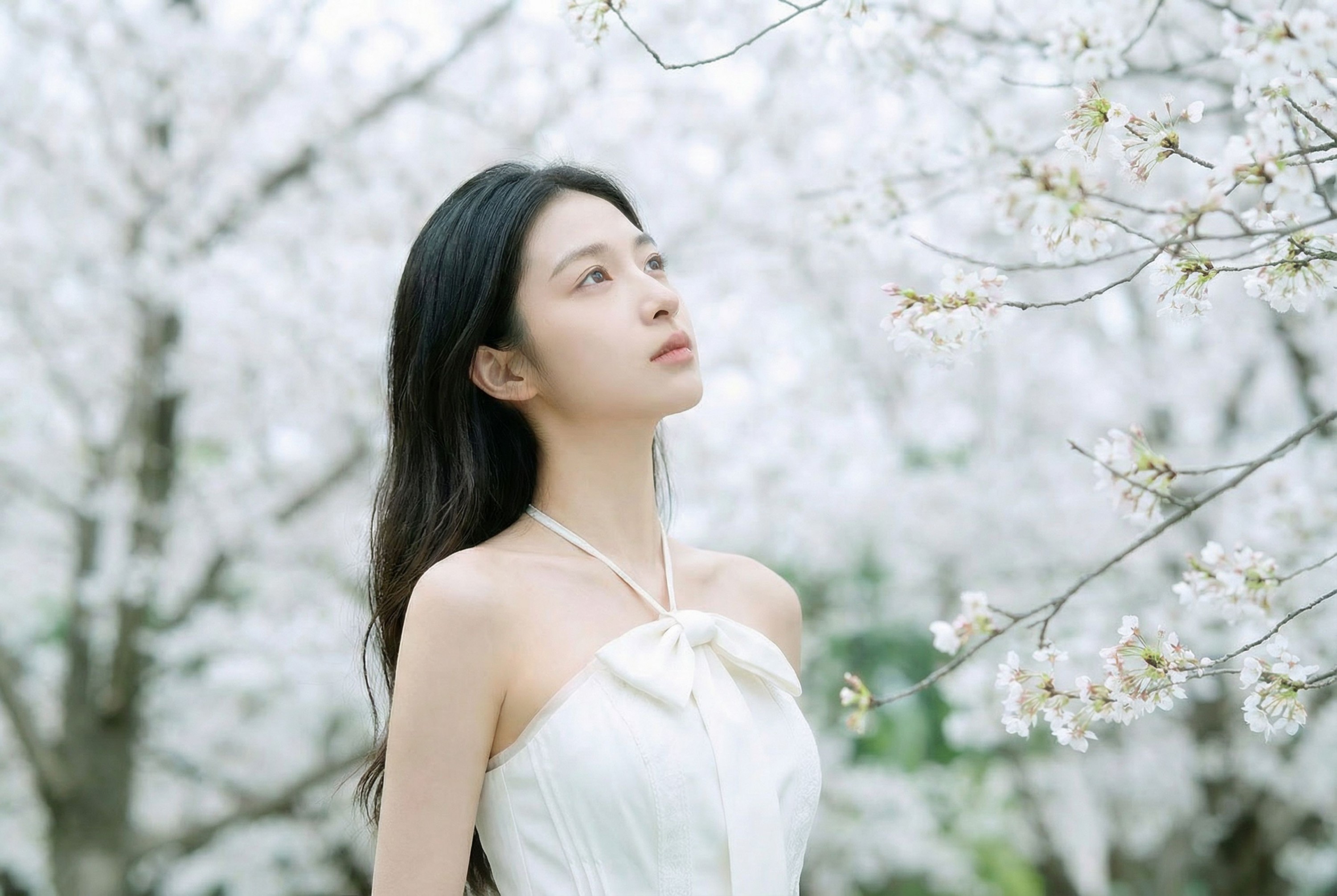 《春日信》[10P] 插图4