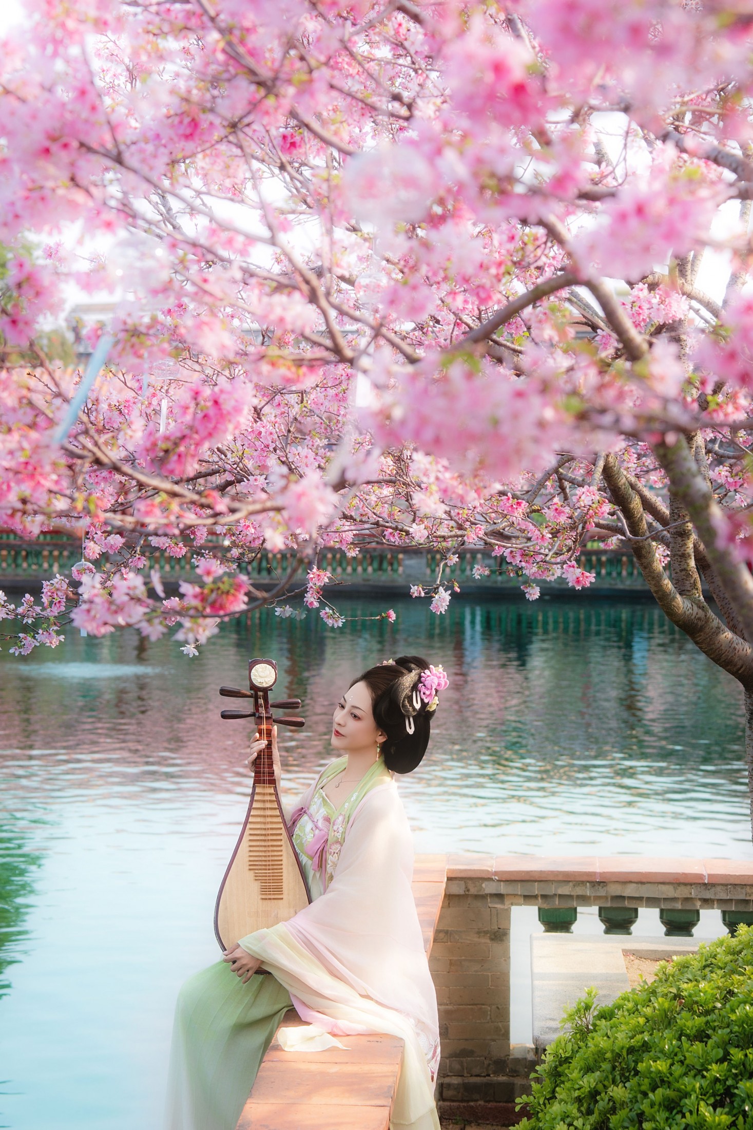 笑一笑 - 《春樱》[13P]-66COS