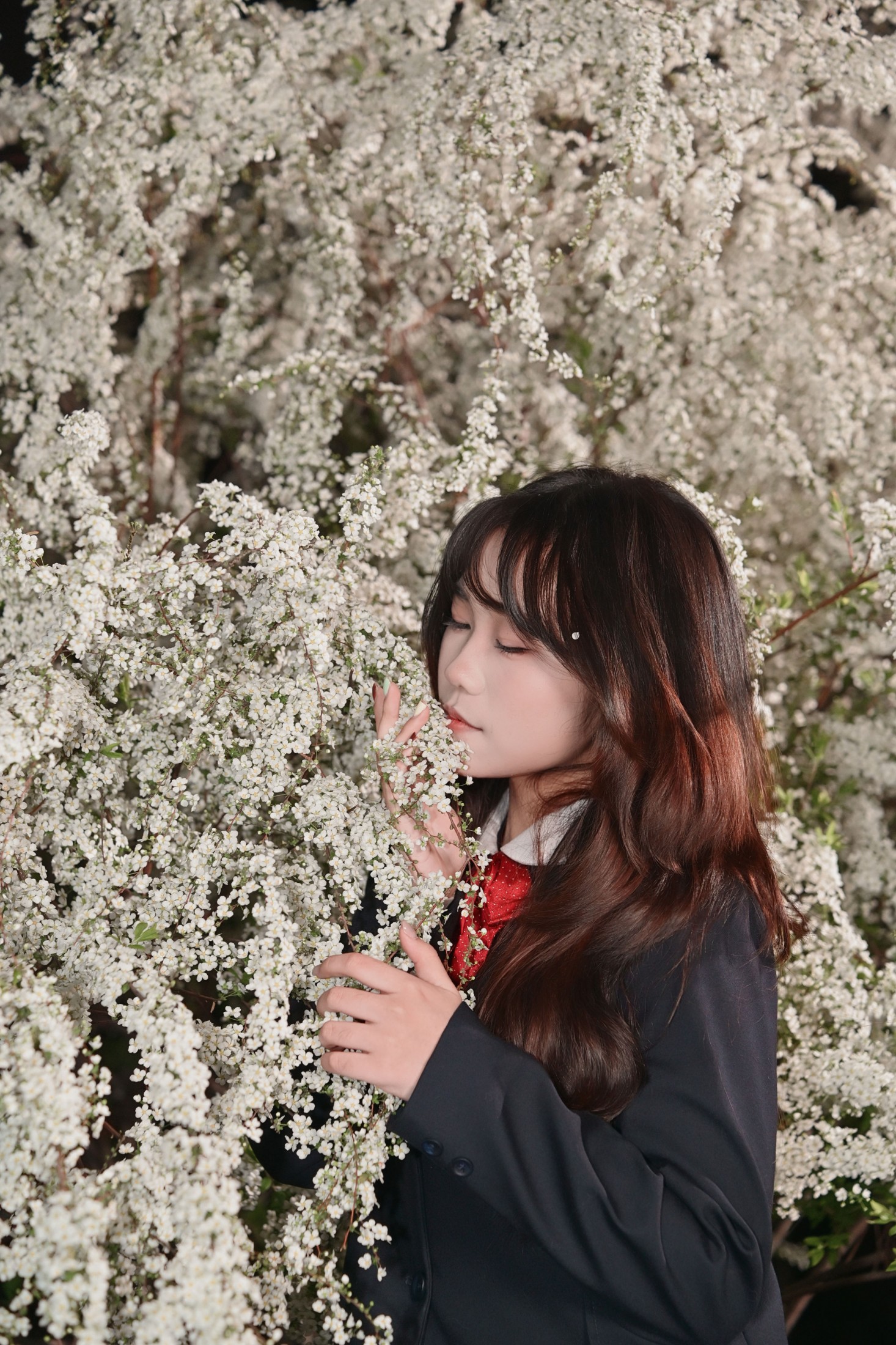 《jk樱花》[12P]-66COS