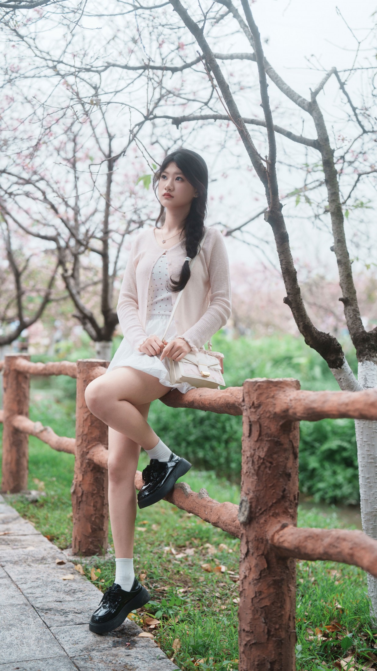 《樱花之恋》[12P] 插图2