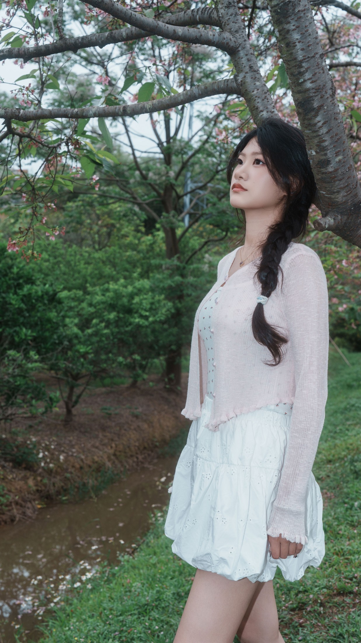 《樱花之恋》[12P]-66COS