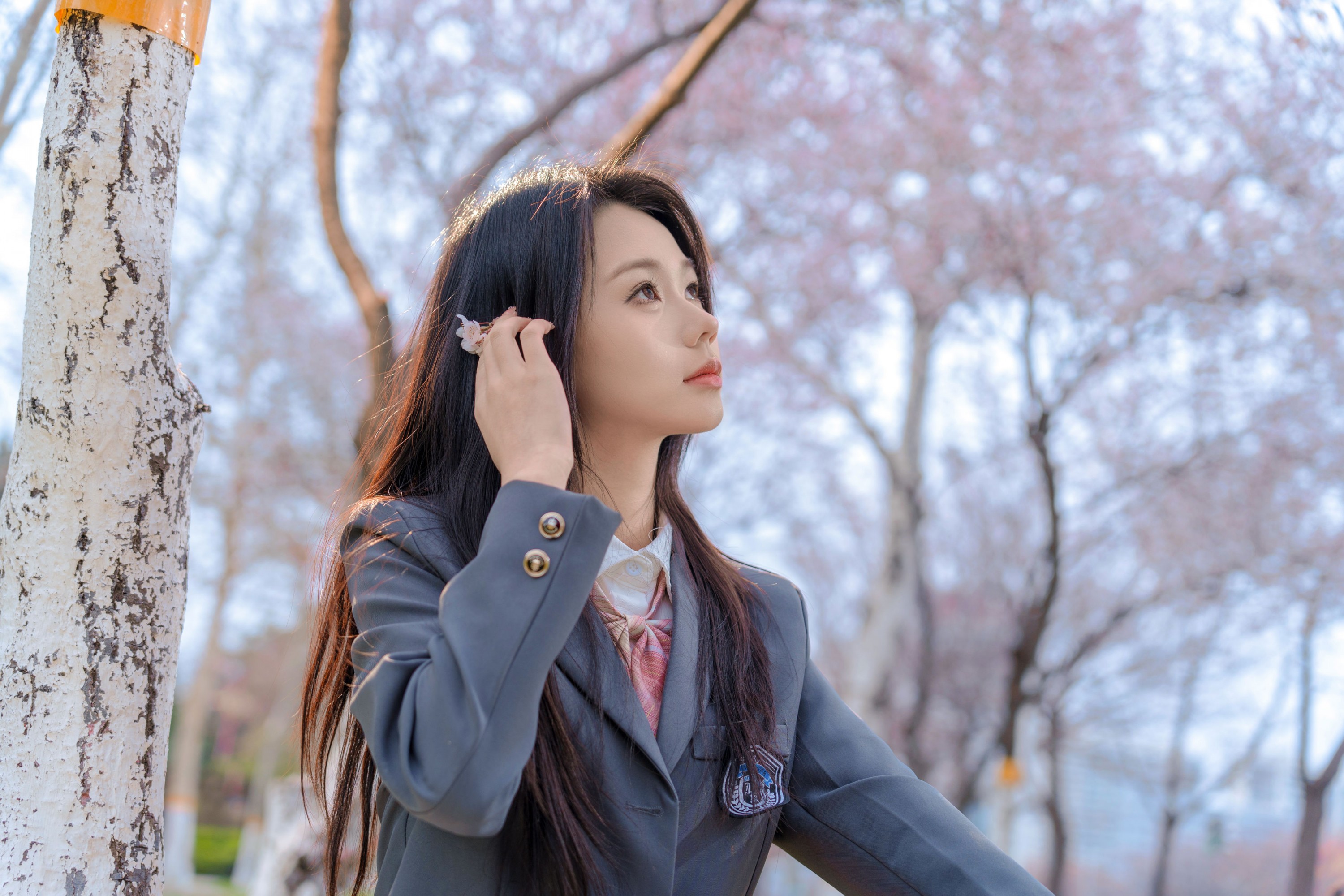 pig - 《樱花树下》[9P] 插图5